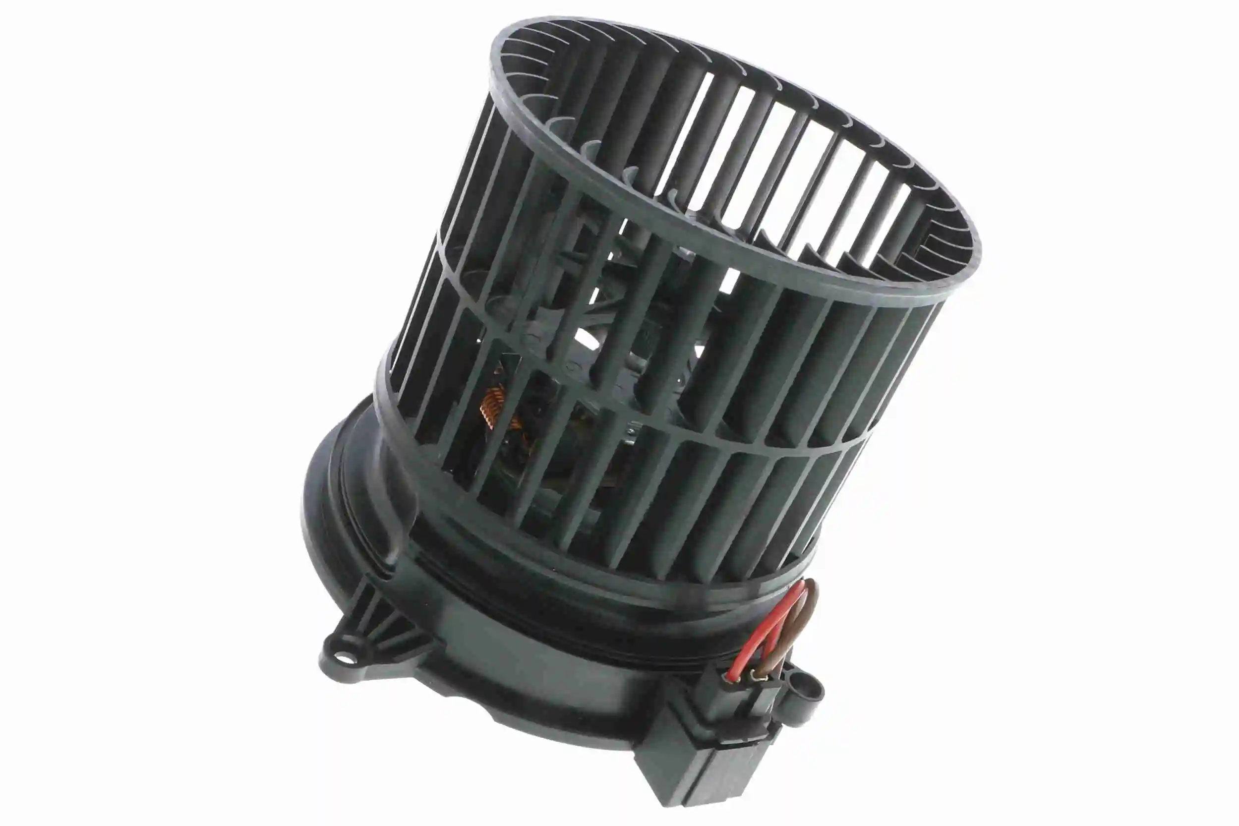 V25031636 Vemo