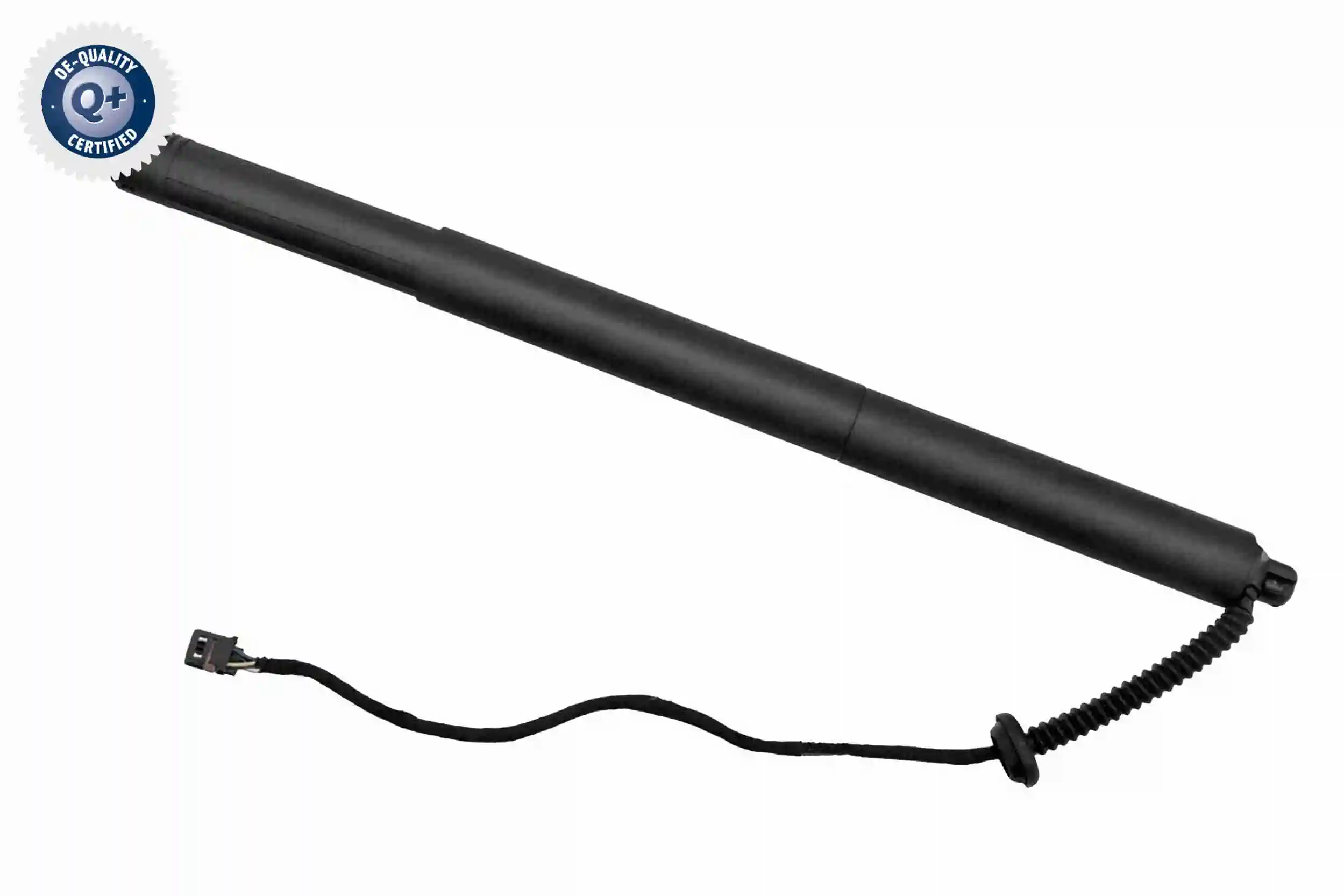 V10550023 Vemo