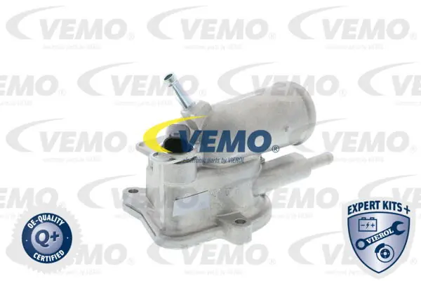 V30990101 Vemo
