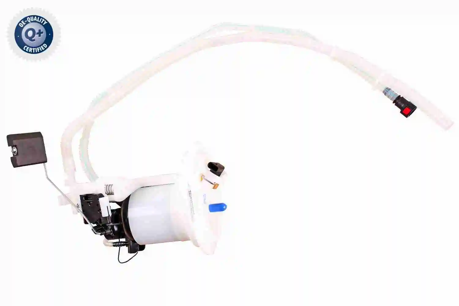 V30090077 Vemo
