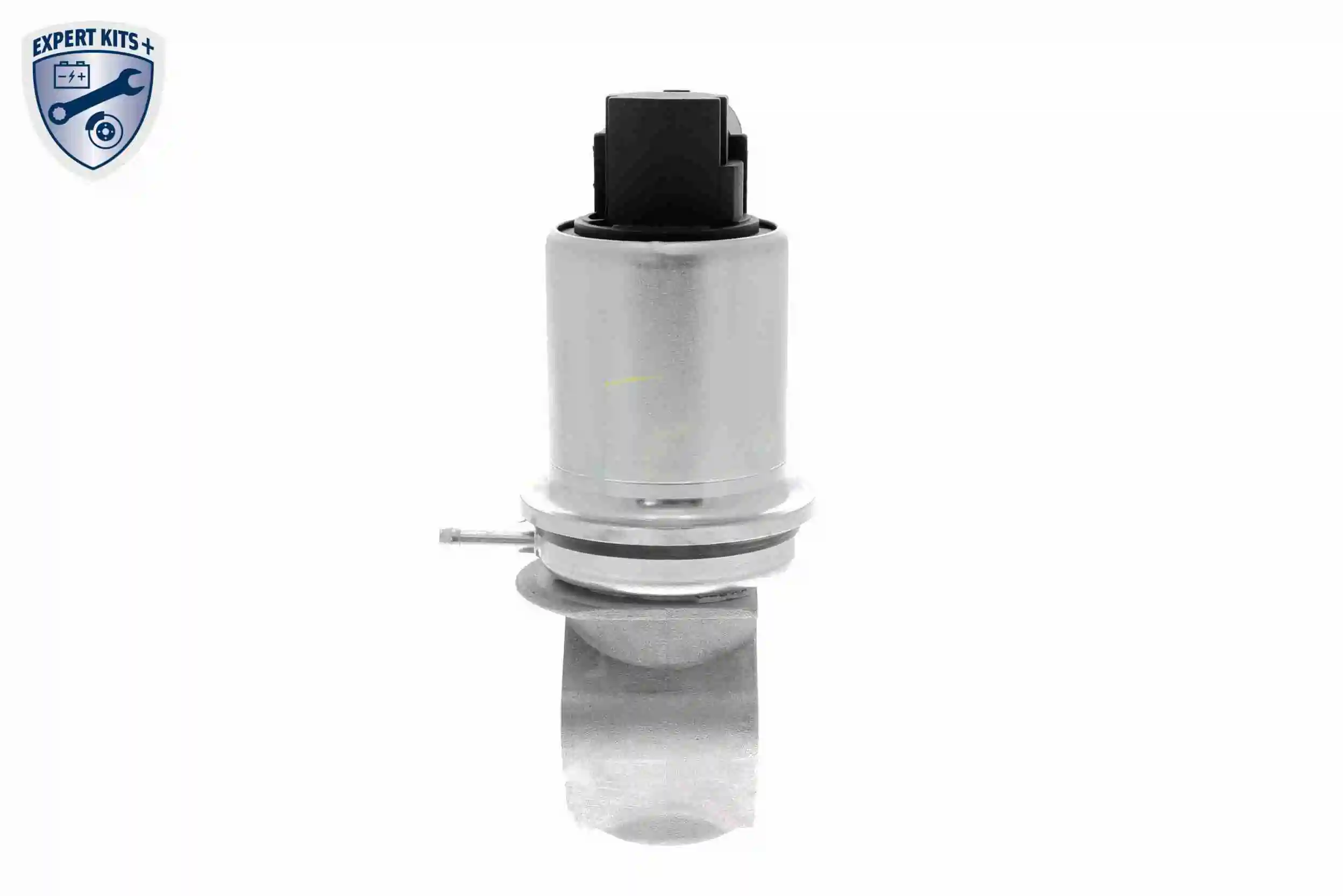 EGR Vemo V10630006