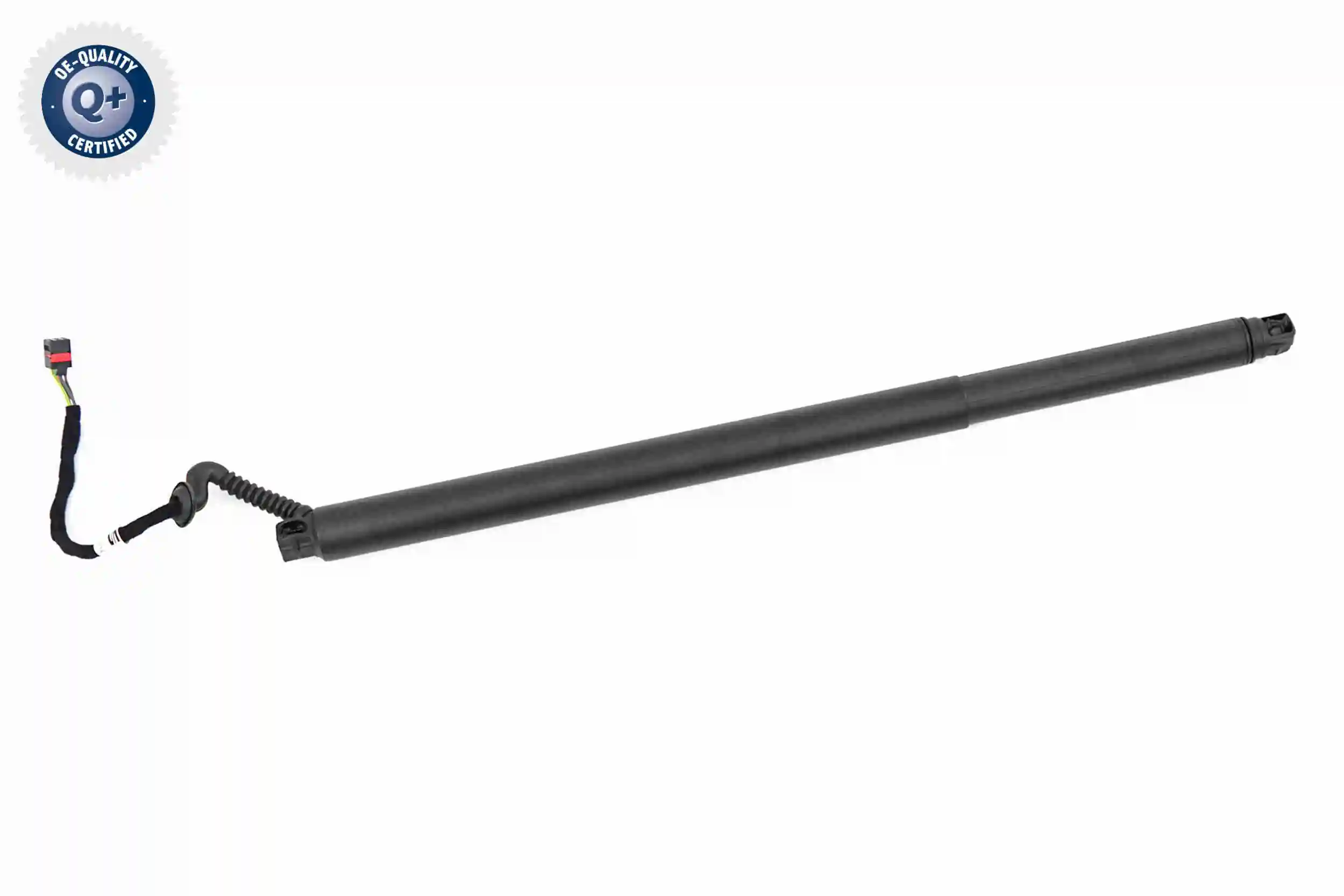 V10550020 Vemo