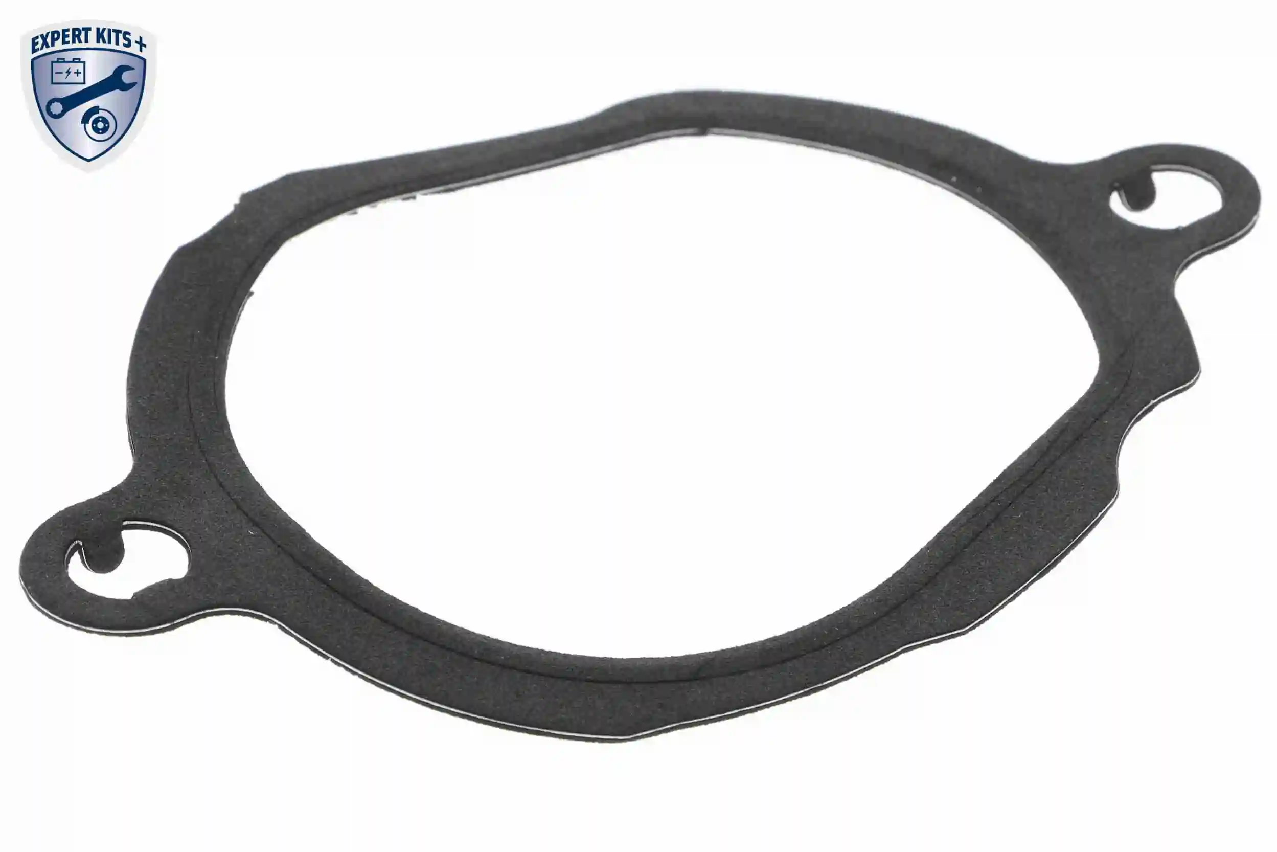 V30990103 Vemo