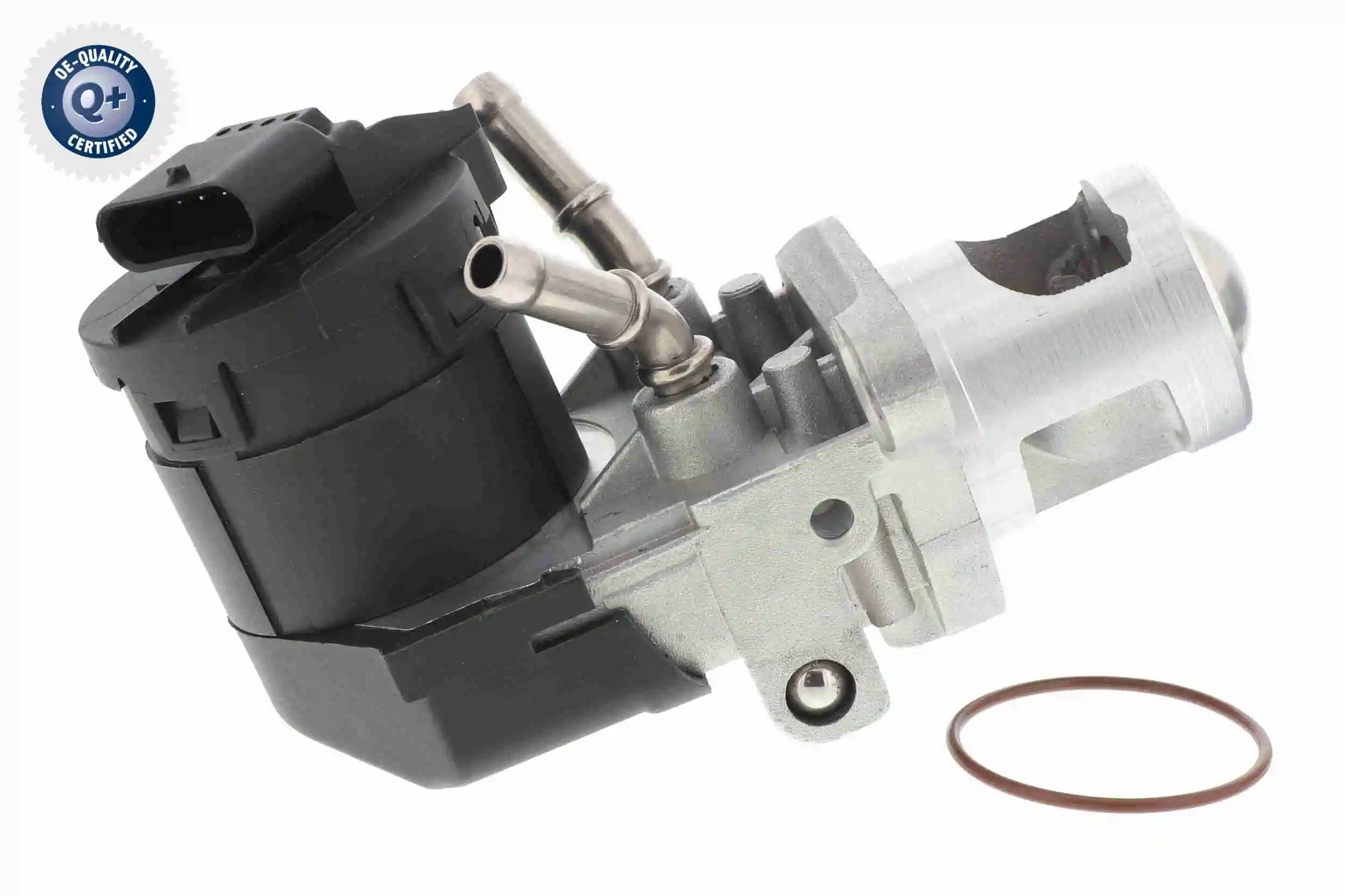EGR BMW 1 (E81)