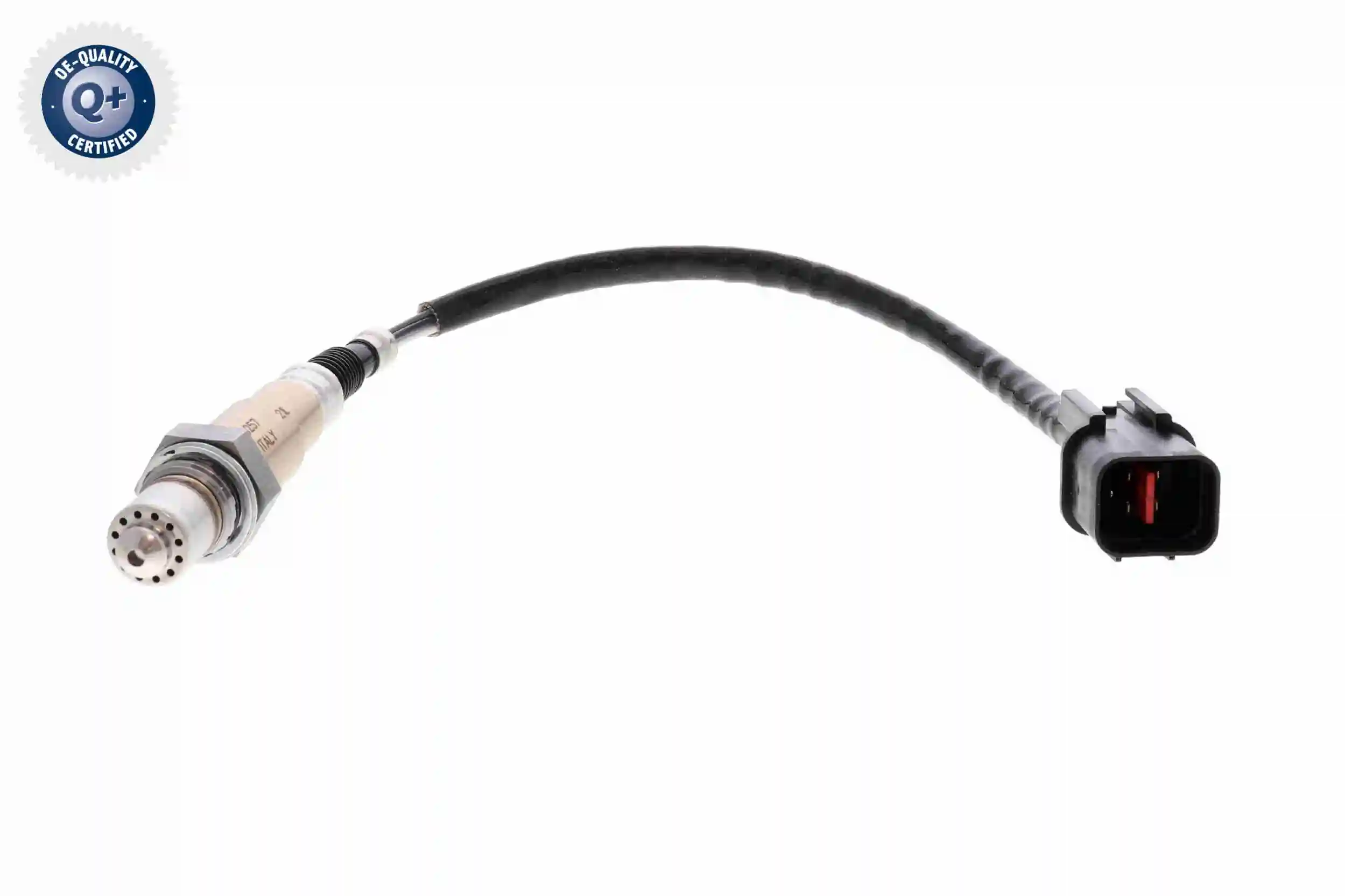 V52760020 Vemo