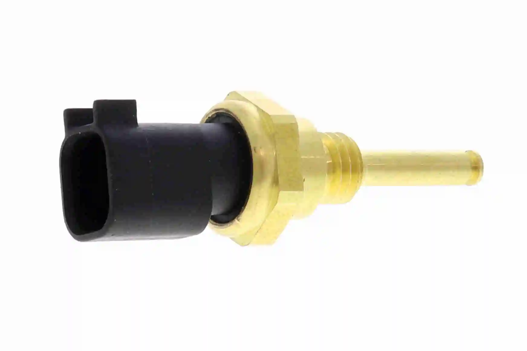 V25720224 Vemo