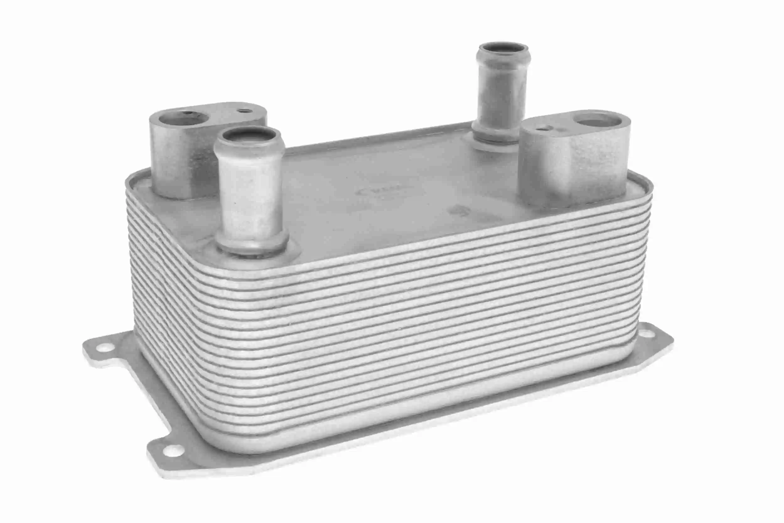 V15600014 Vemo