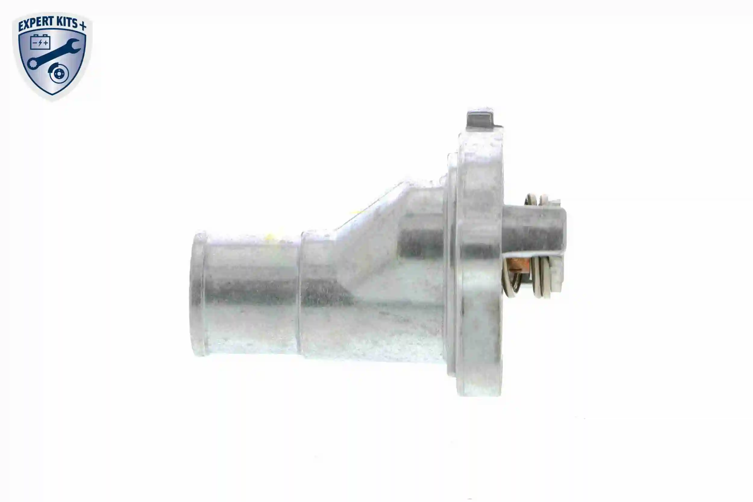 V24990019 Vemo Termostato de agua