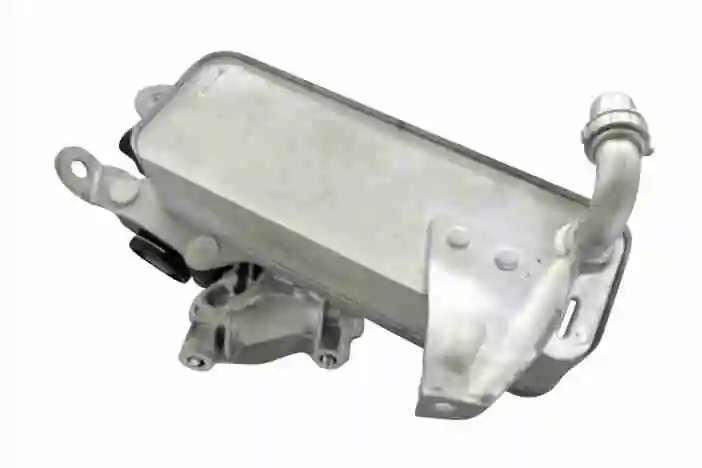 V20600010 Vemo
