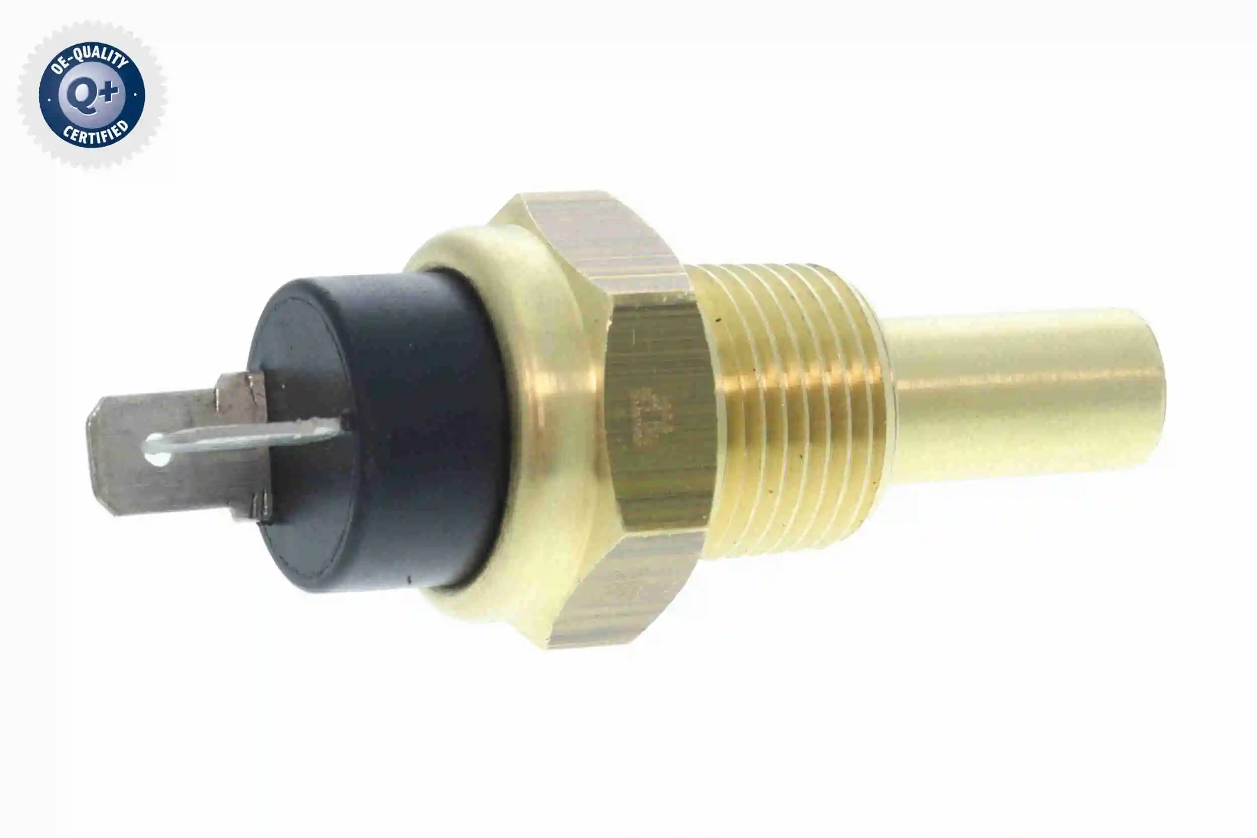 V37720005 Vemo