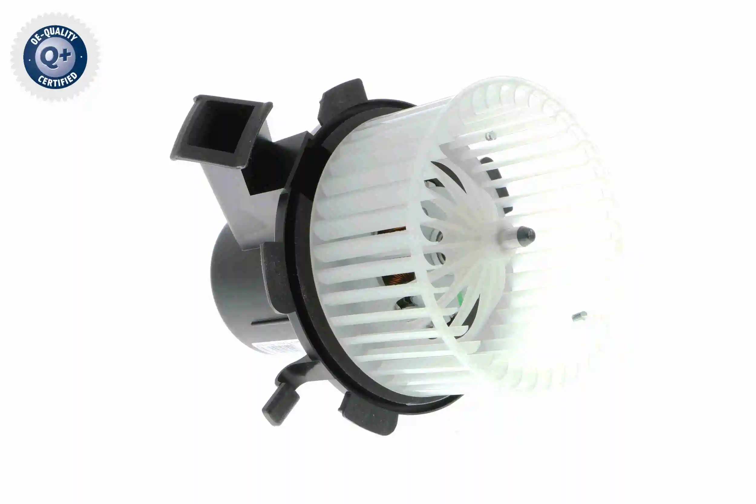 V30031787 Vemo