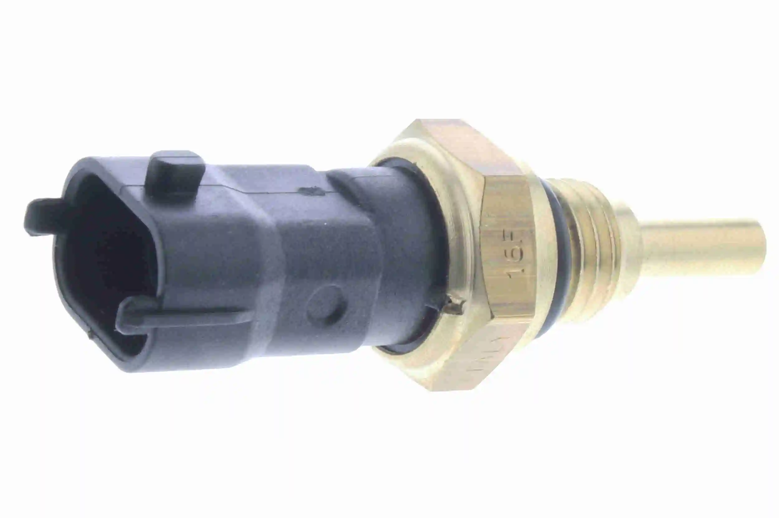 V51720138 Vemo