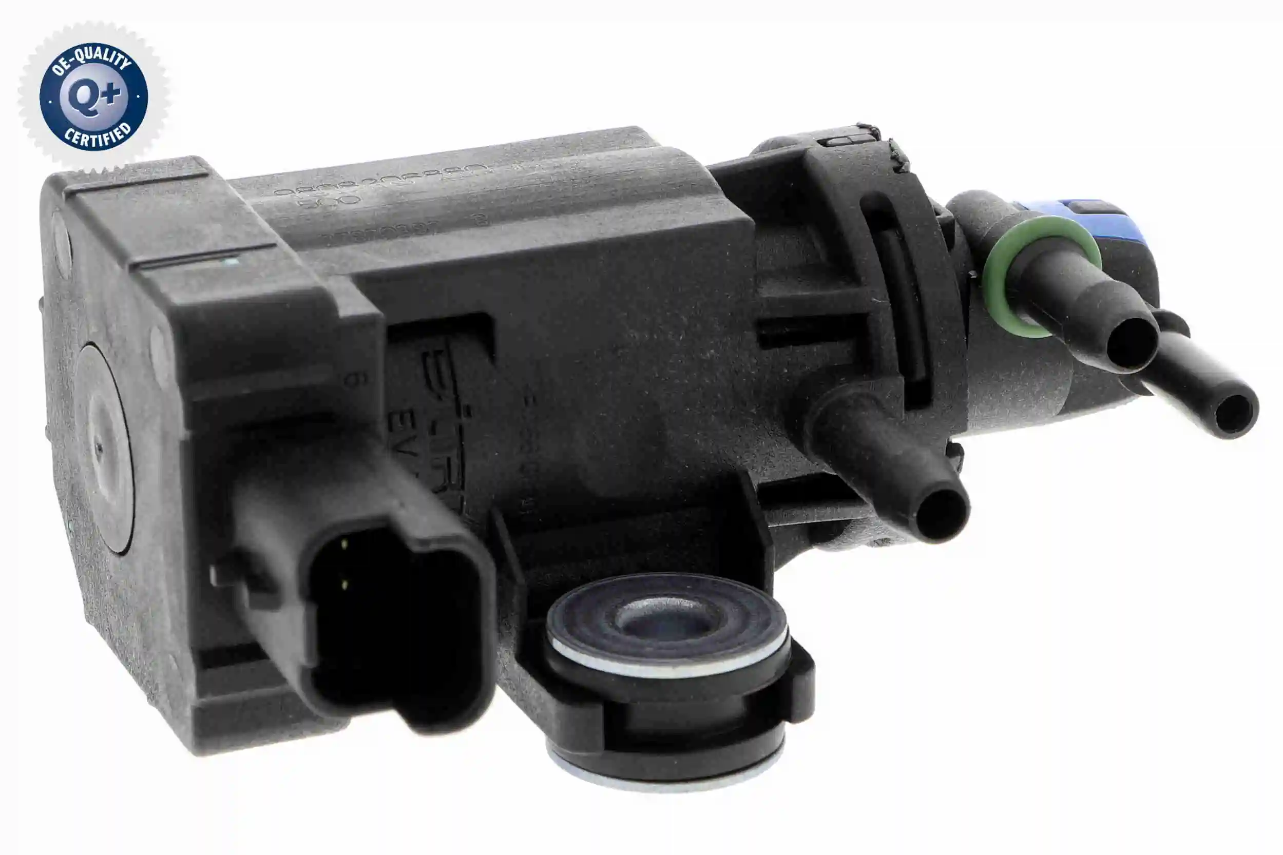 V22630020 Vemo