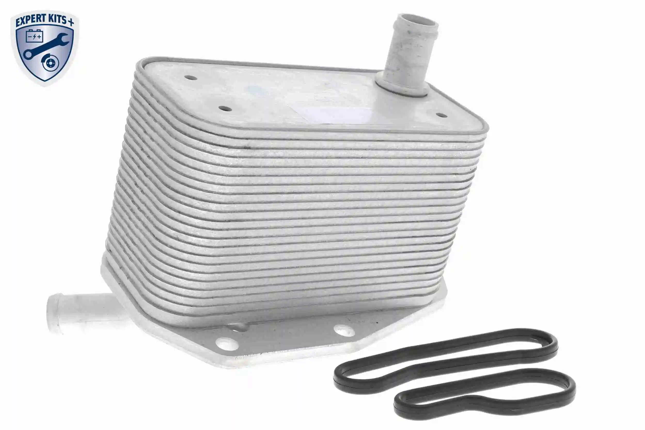 V48600022 Vemo