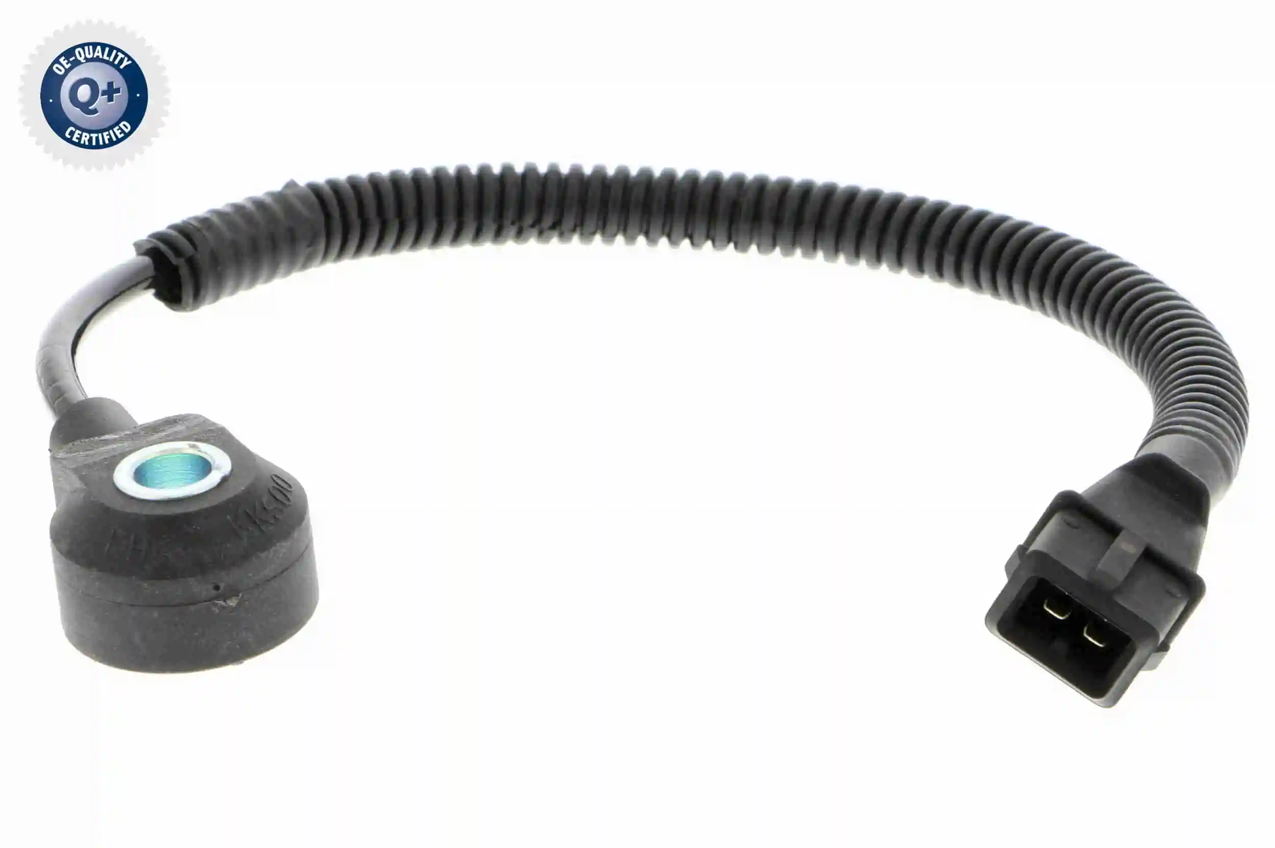 V53720051 Vemo