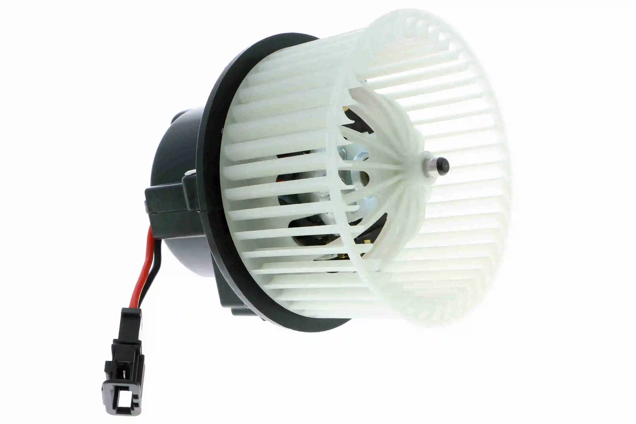 V950313741 Vemo