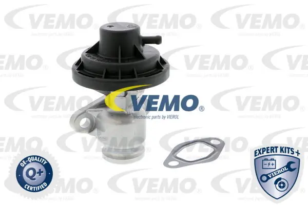 V10630044 Vemo