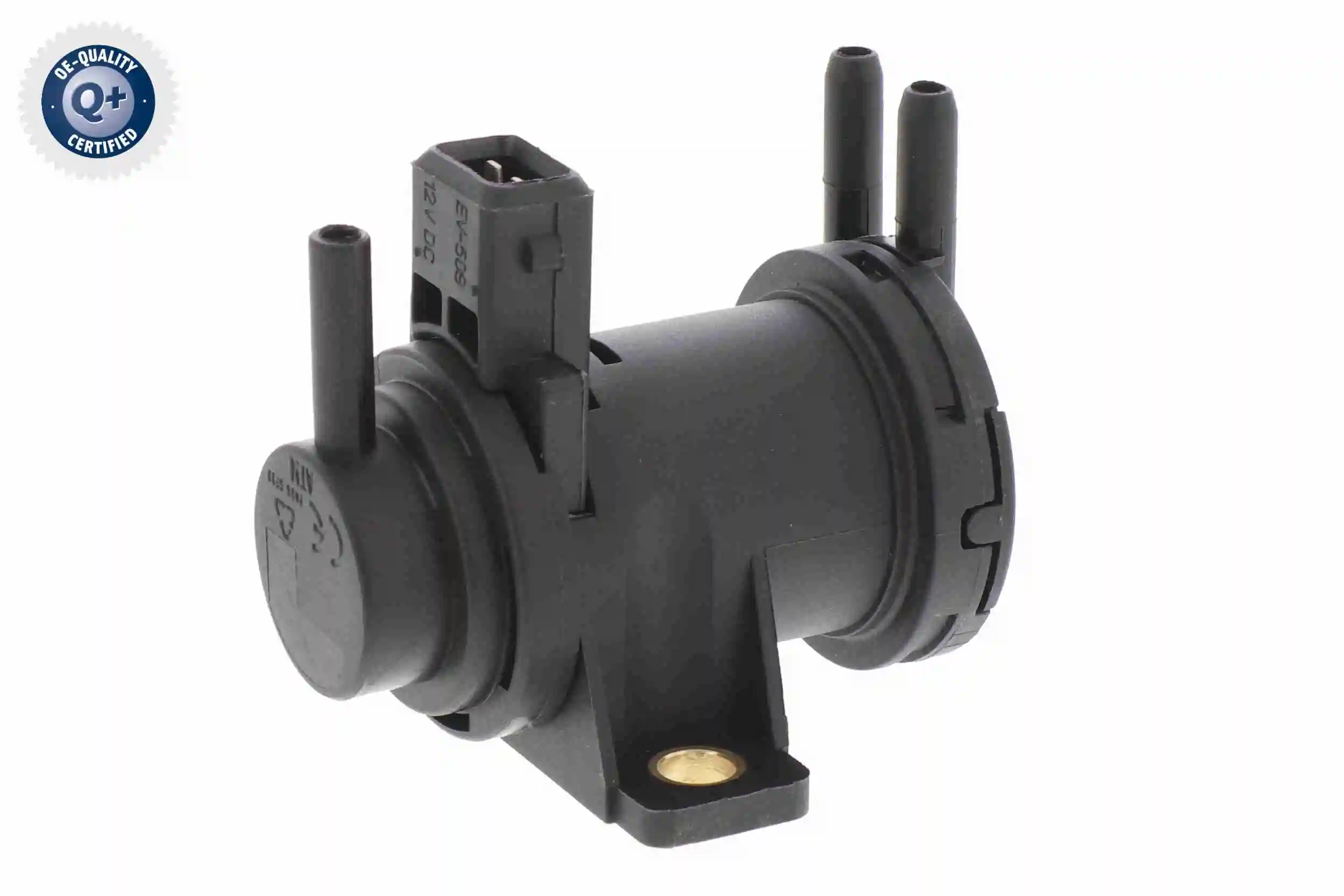 V24630027 Vemo