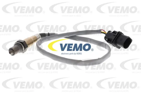 V10760165 Vemo