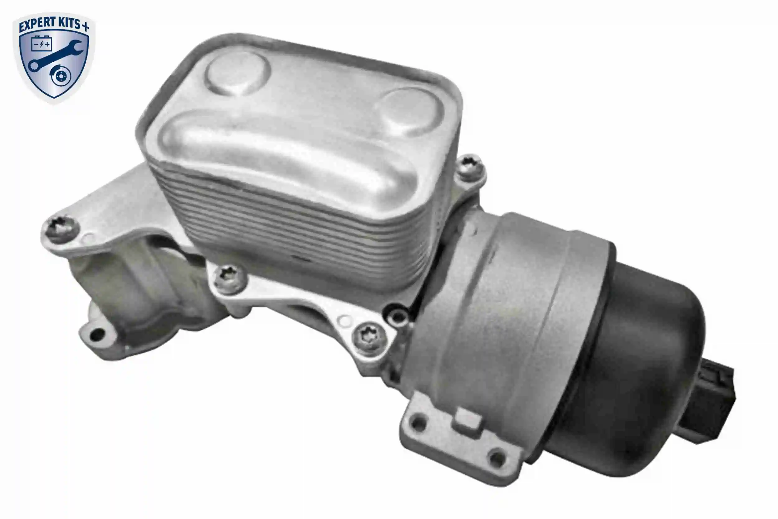 V22600055 Vemo