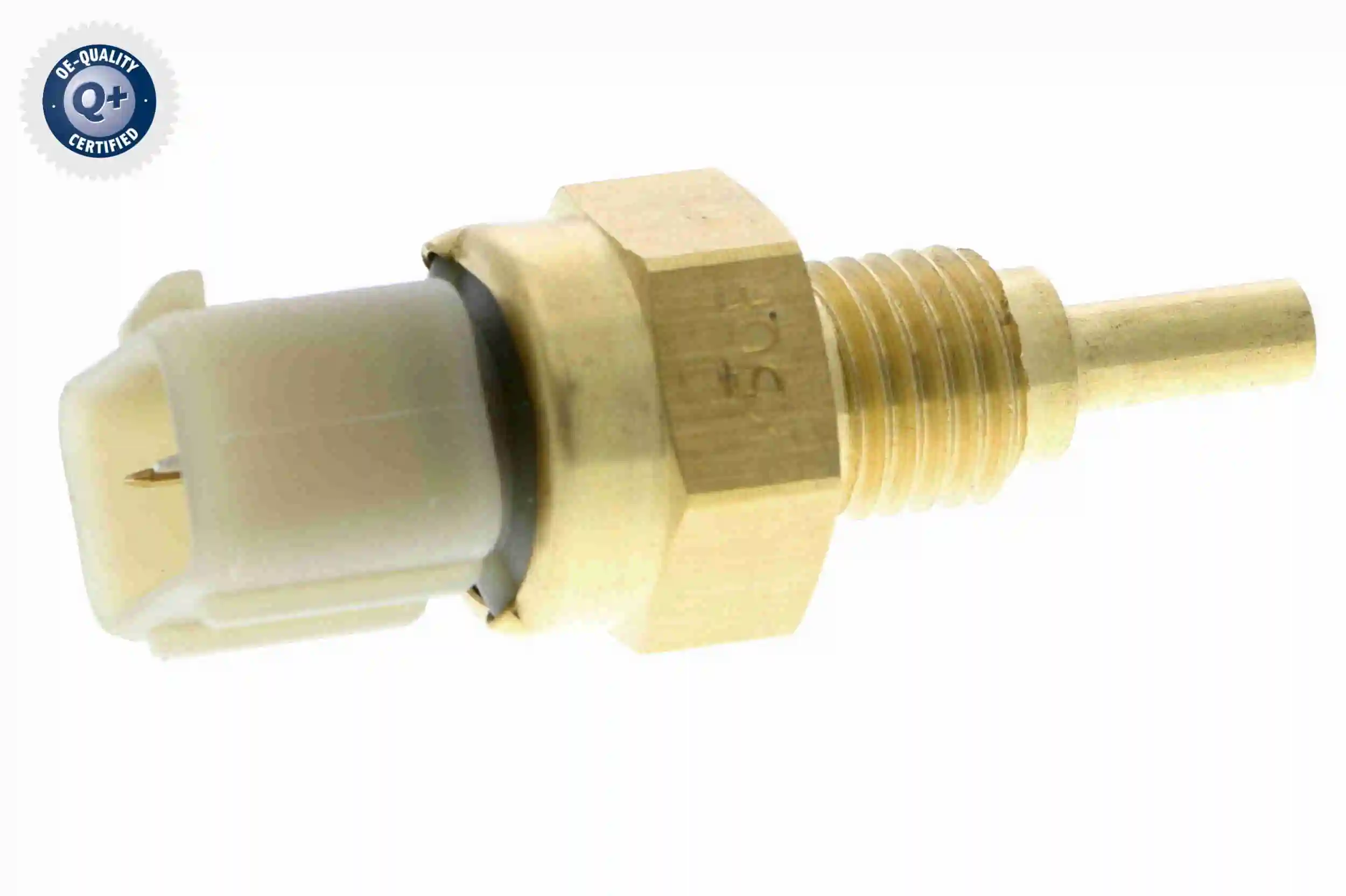 V53720055 Vemo