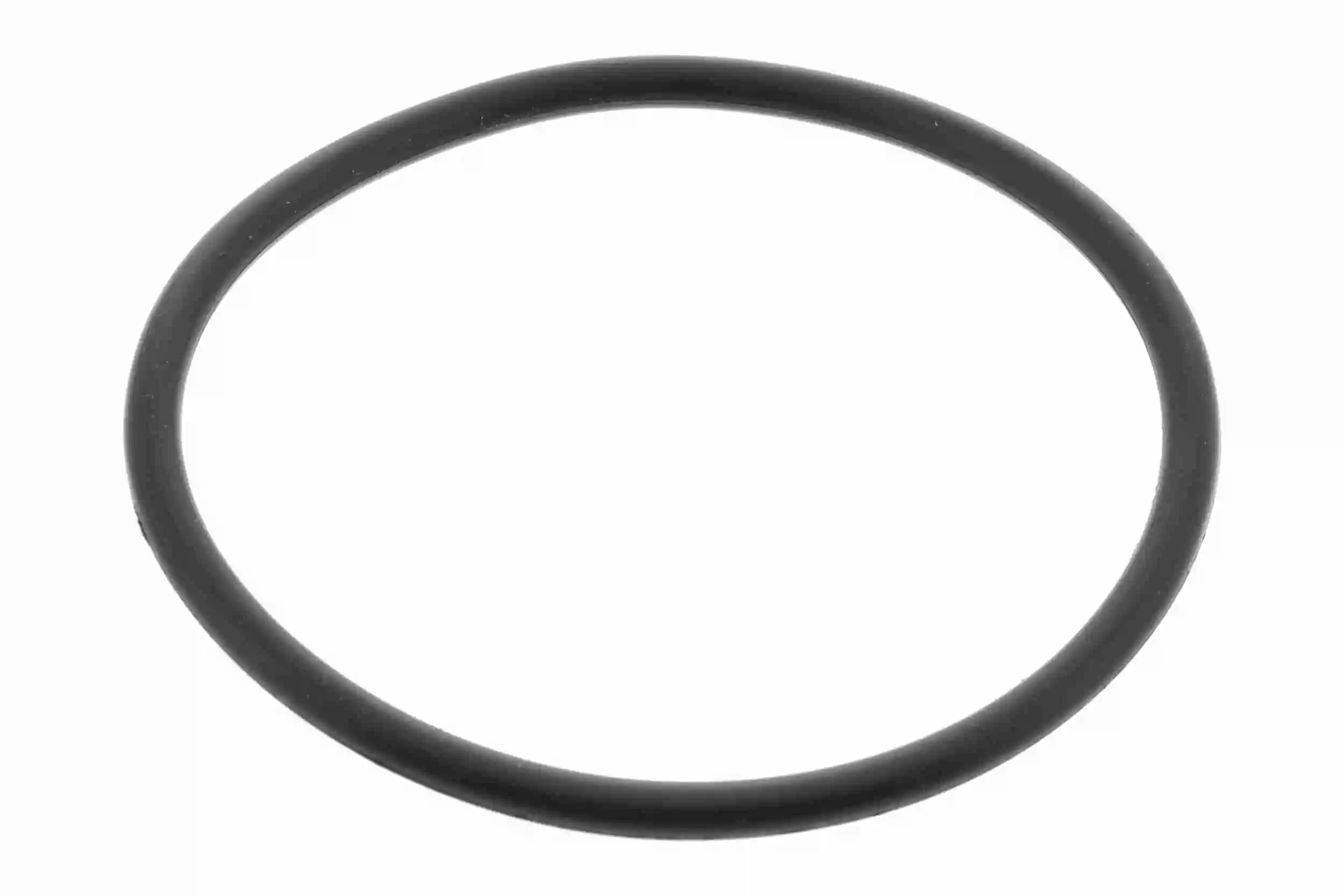 V48810008 Vemo