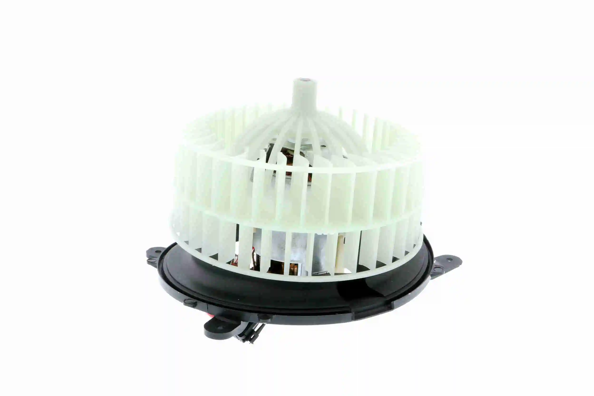 V30030009 Vemo