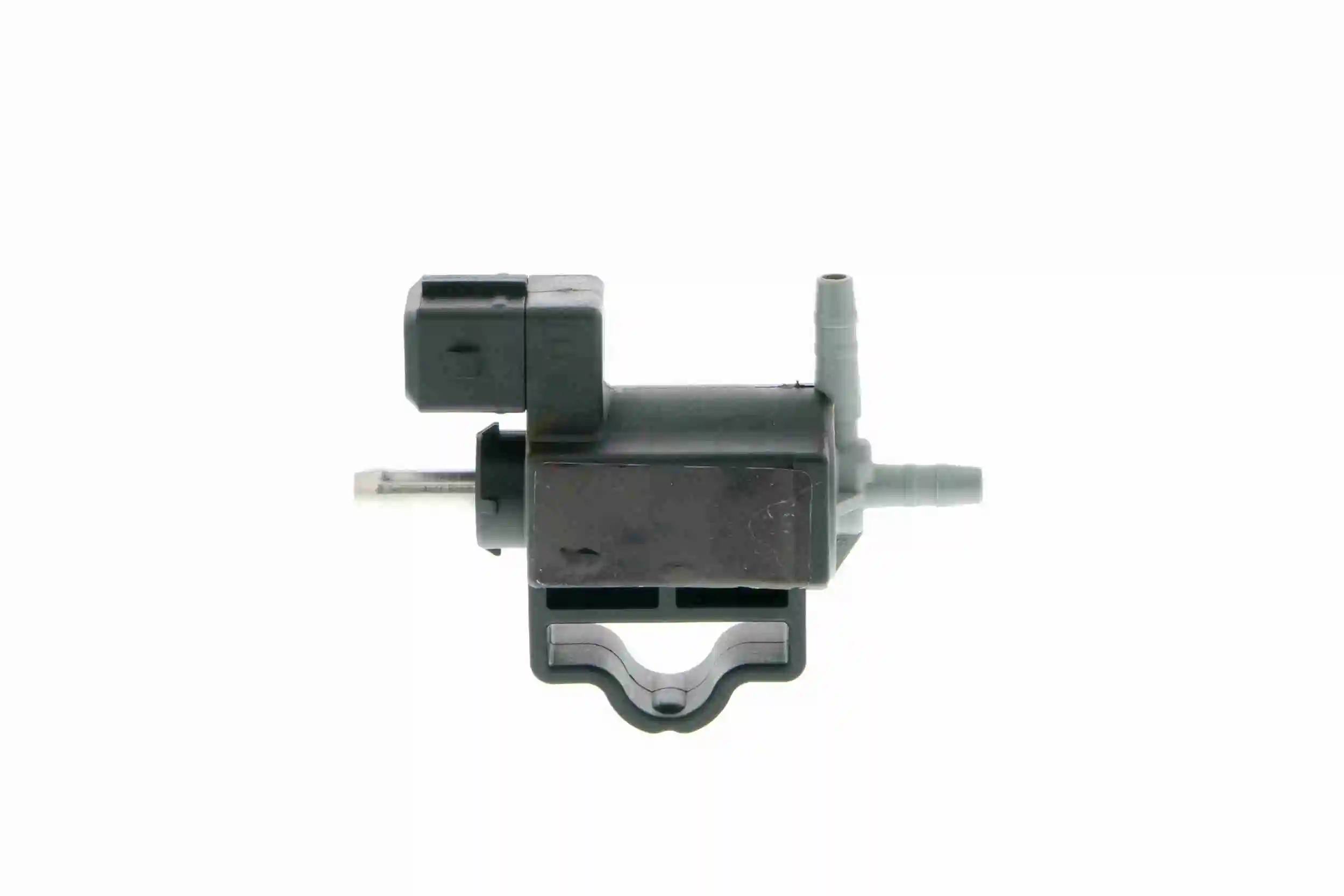 V40630043 Vemo