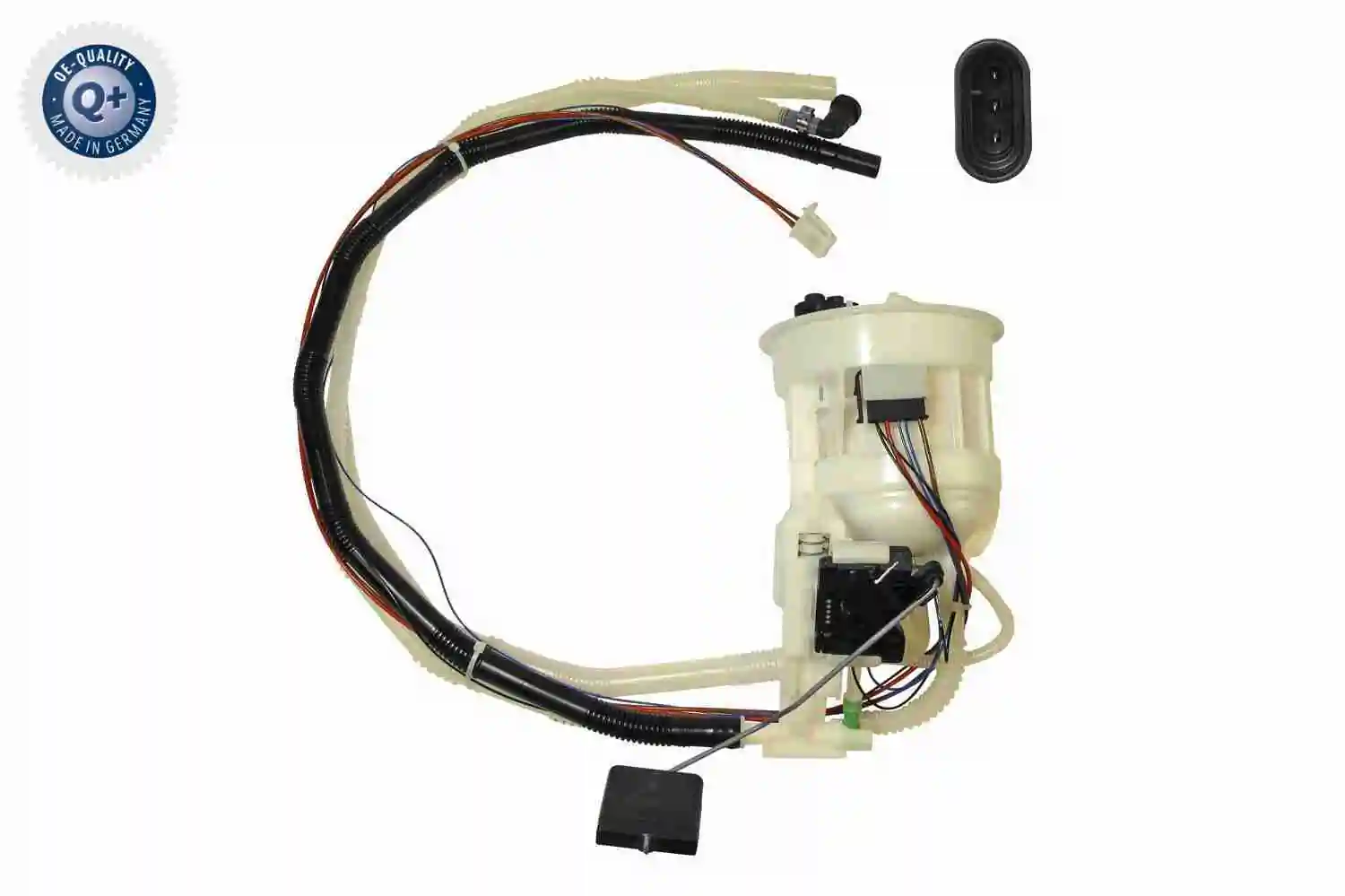 V30090059 Vemo