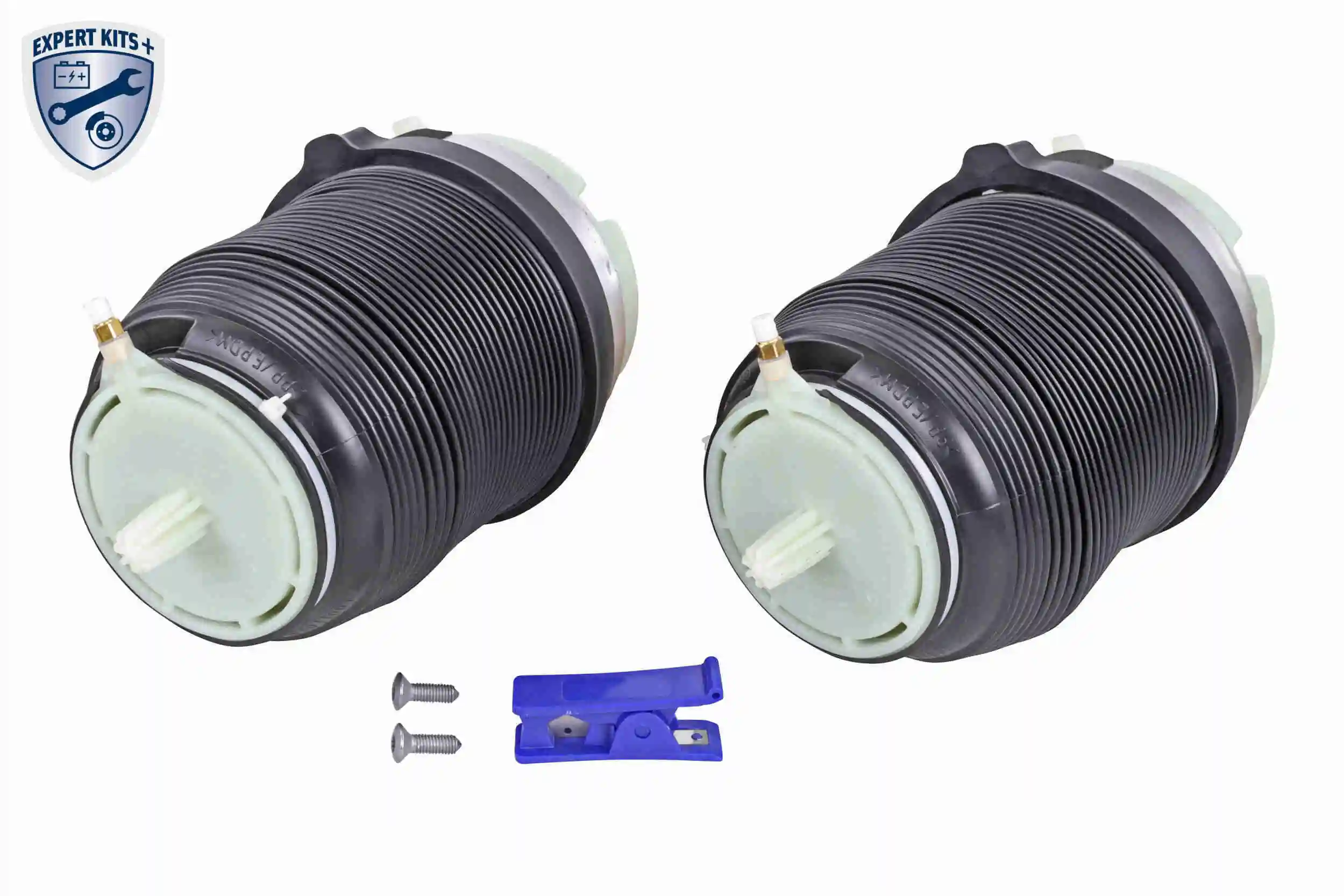V155020021 Vemo