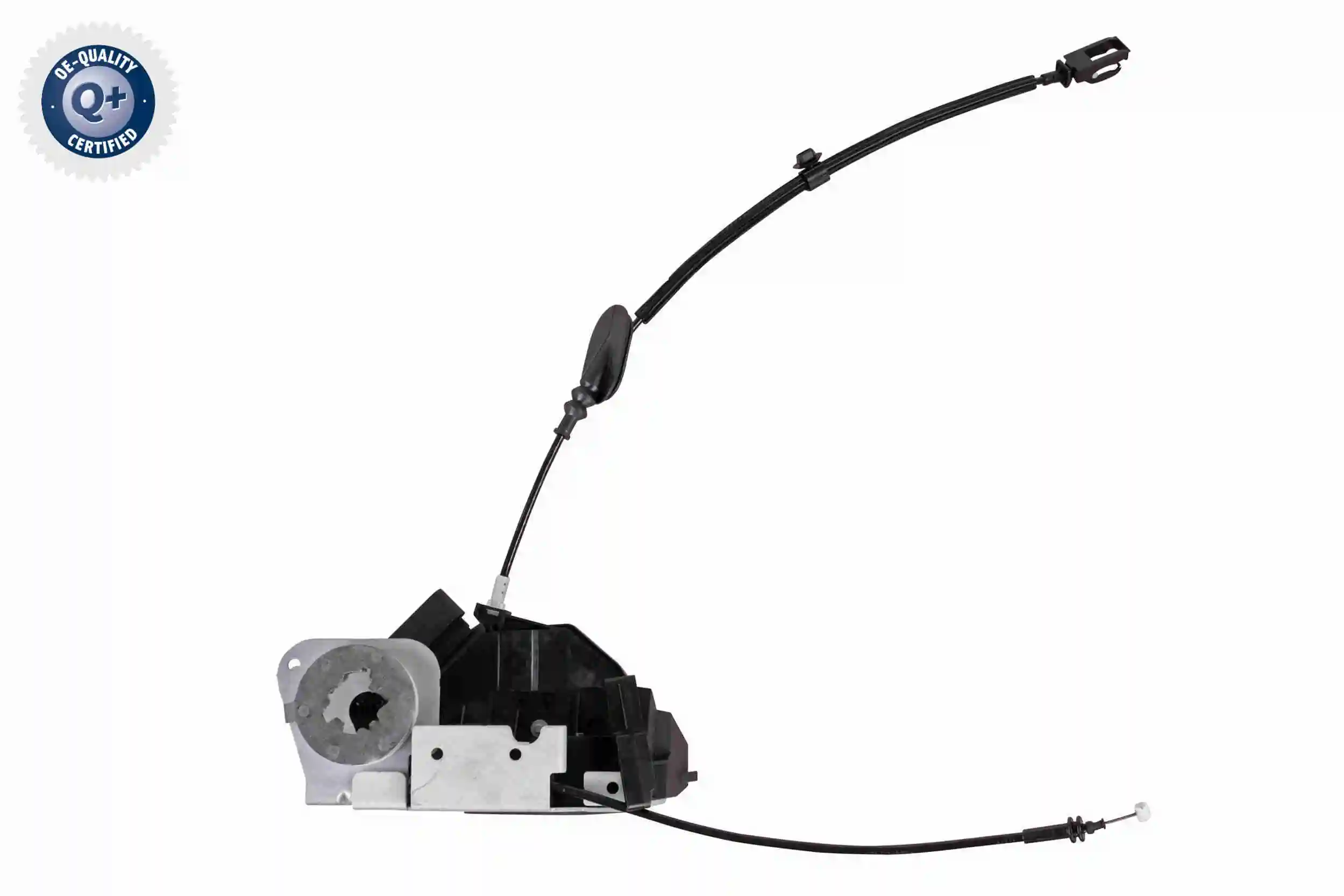 V25850096 Vemo