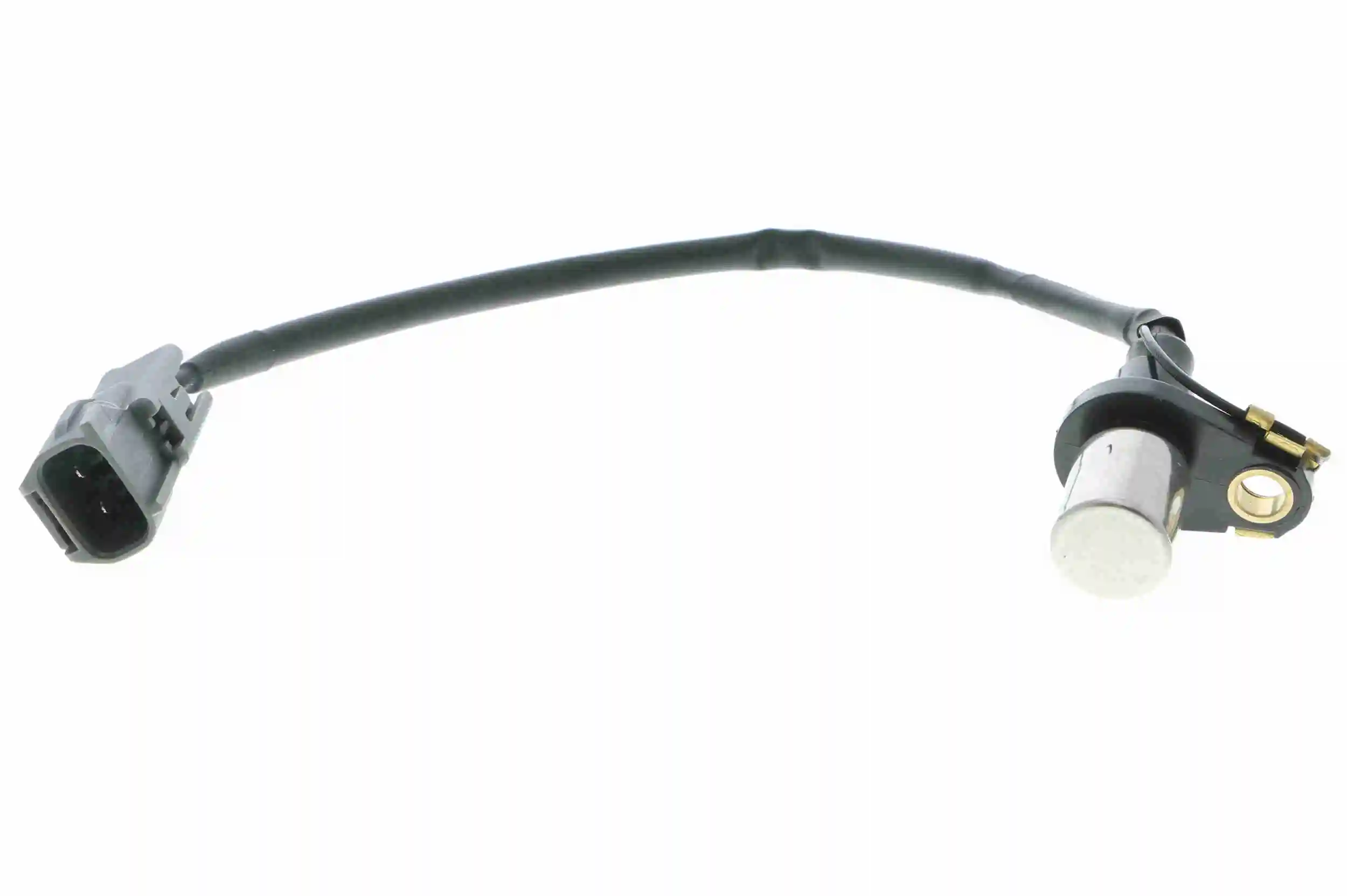 V70720248 Vemo