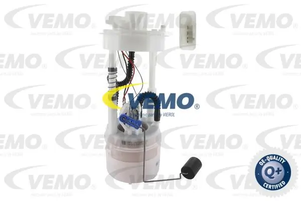 V24090018 Vemo