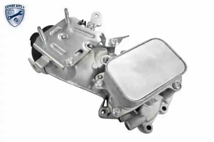 V22600056 Vemo