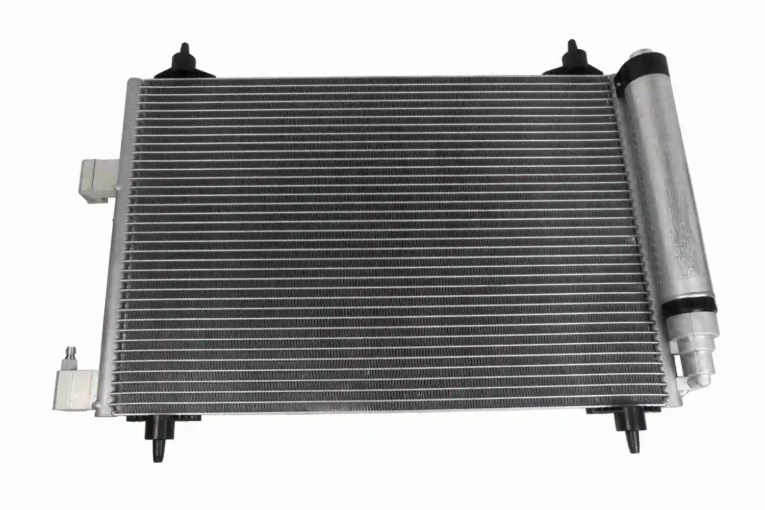 V22620006 Vemo