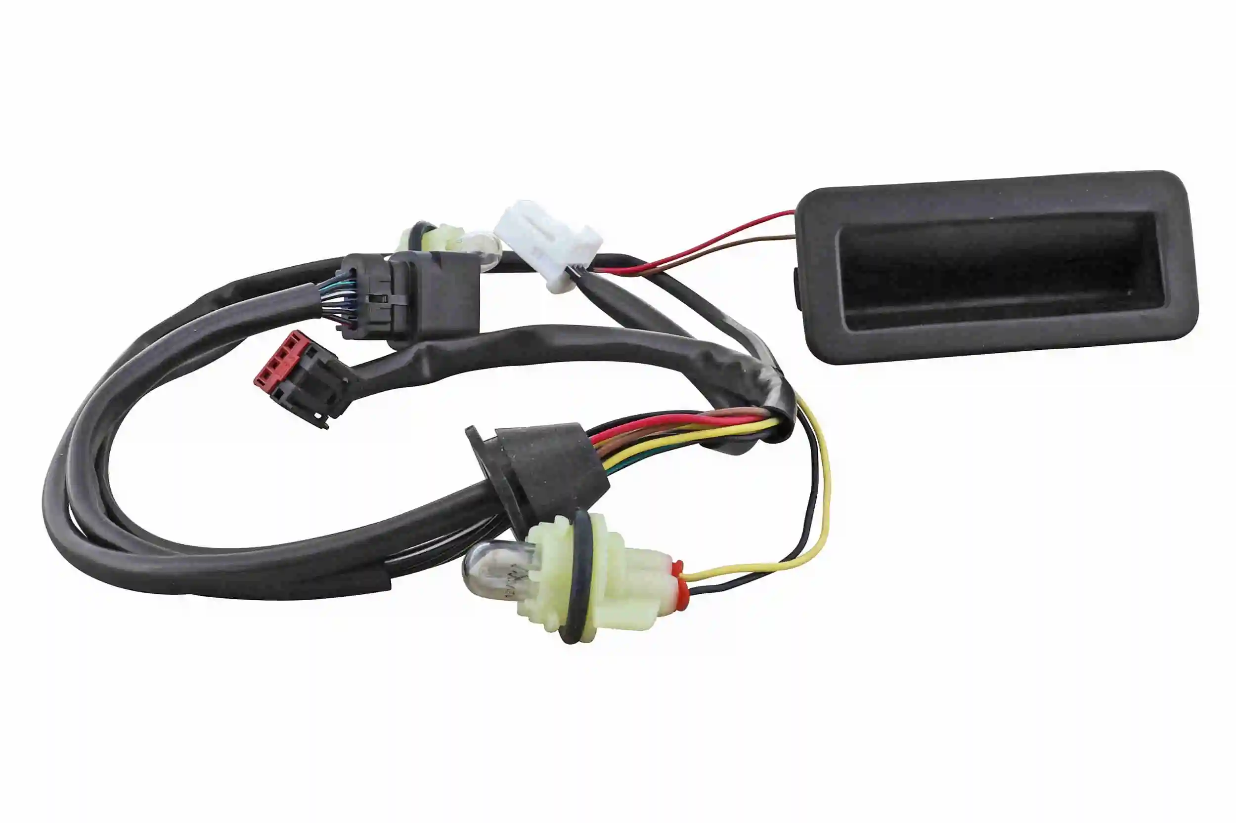 V48850018 Vemo