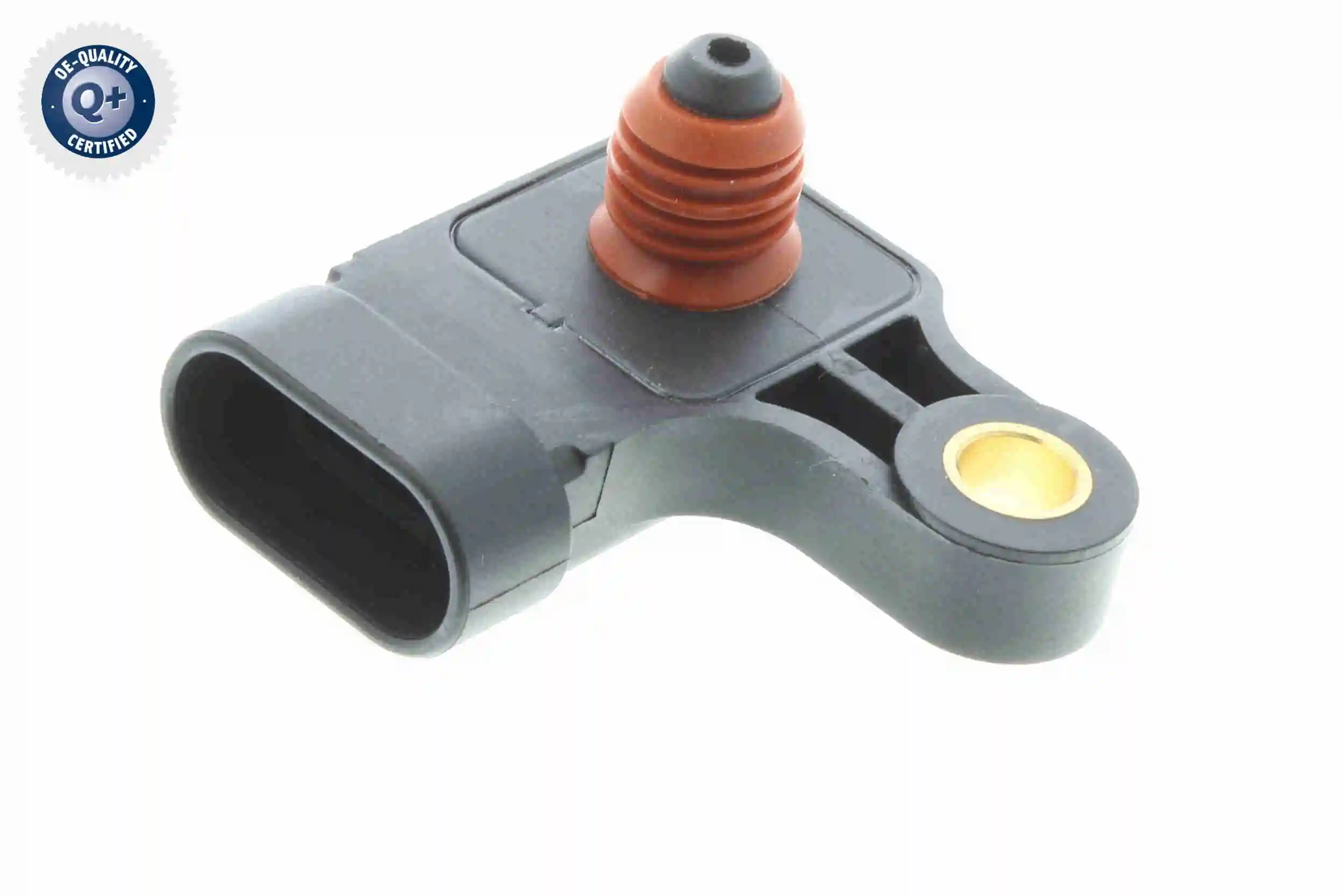 V51720030 Vemo