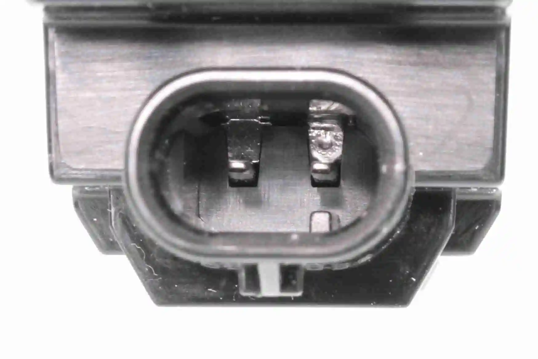 V25840003 Vemo Luz de matricula