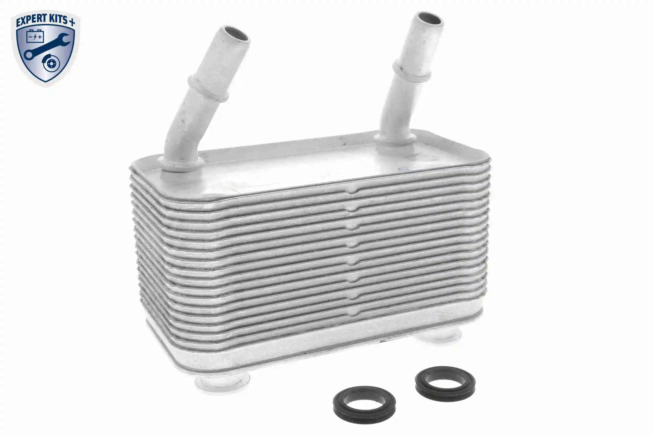 V48600025 Vemo