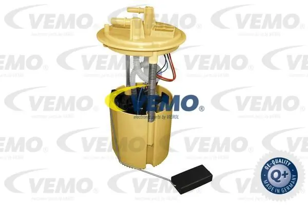 V24090013 Vemo
