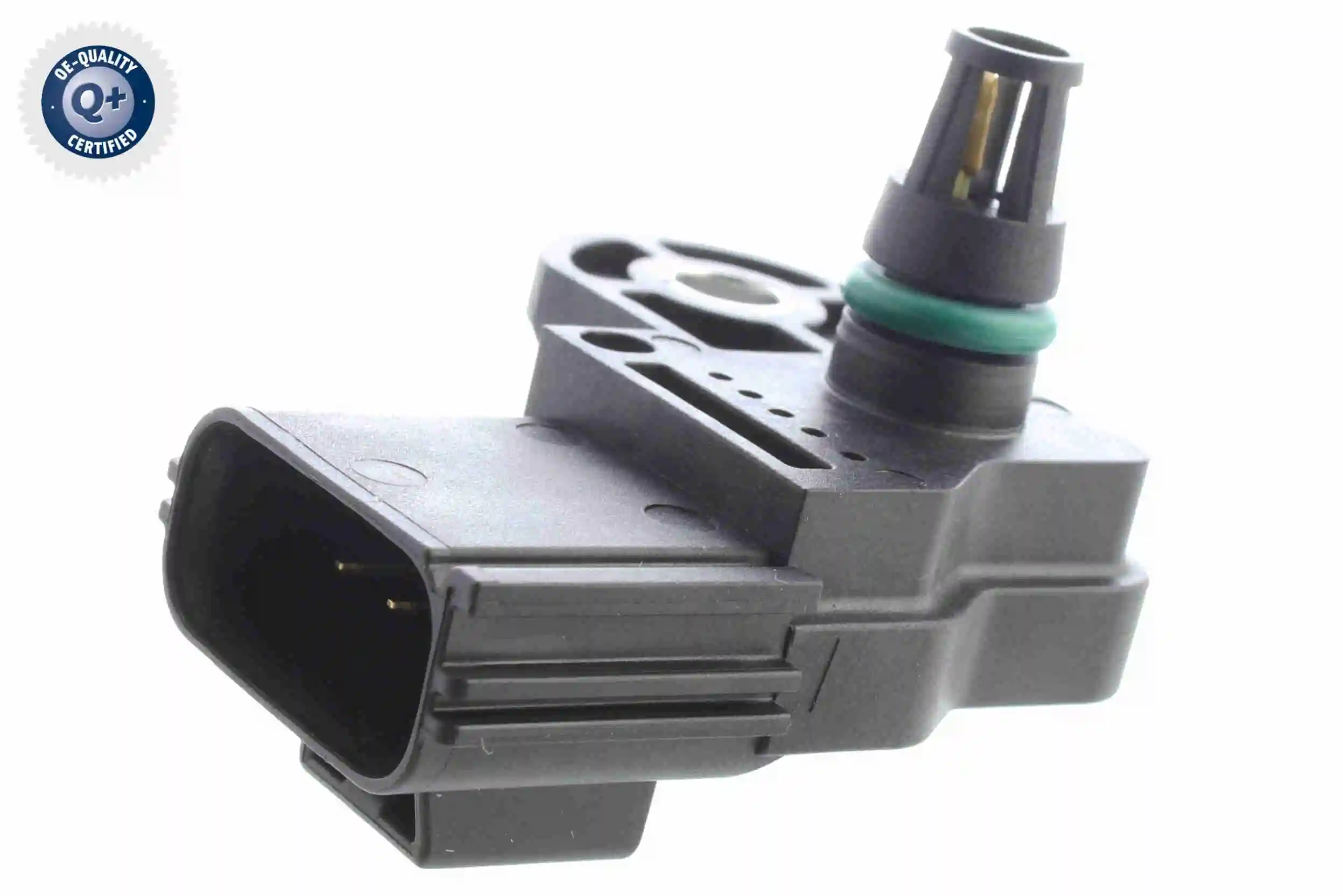 V32720081 Vemo