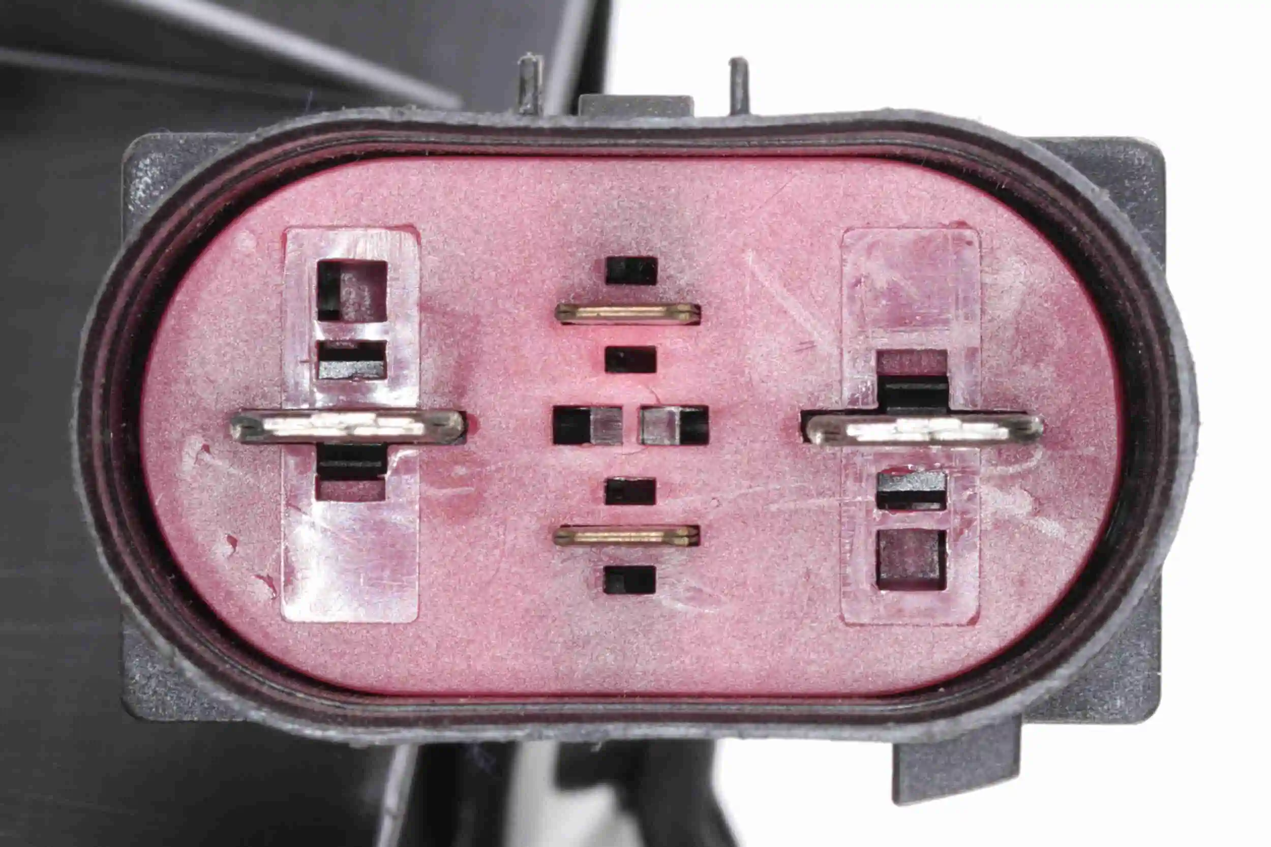 V15011921 Vemo Electroventilador del motor