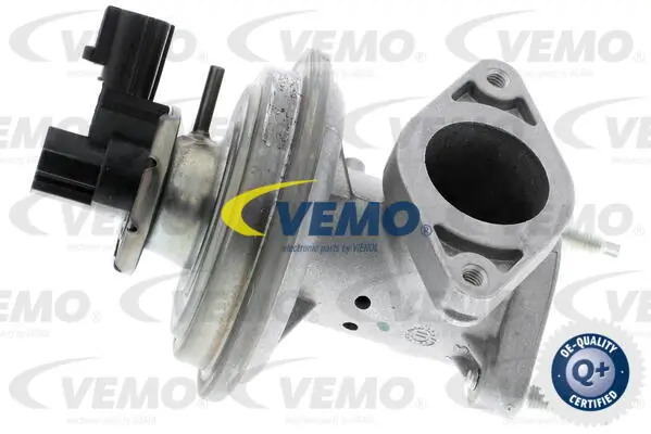 V25630021 Vemo
