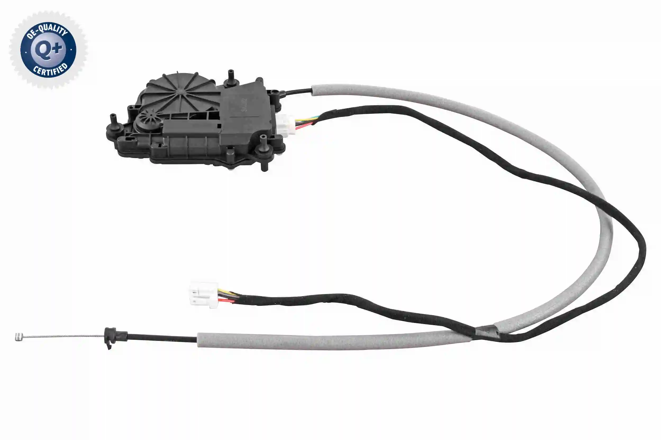 V20850064 Vemo