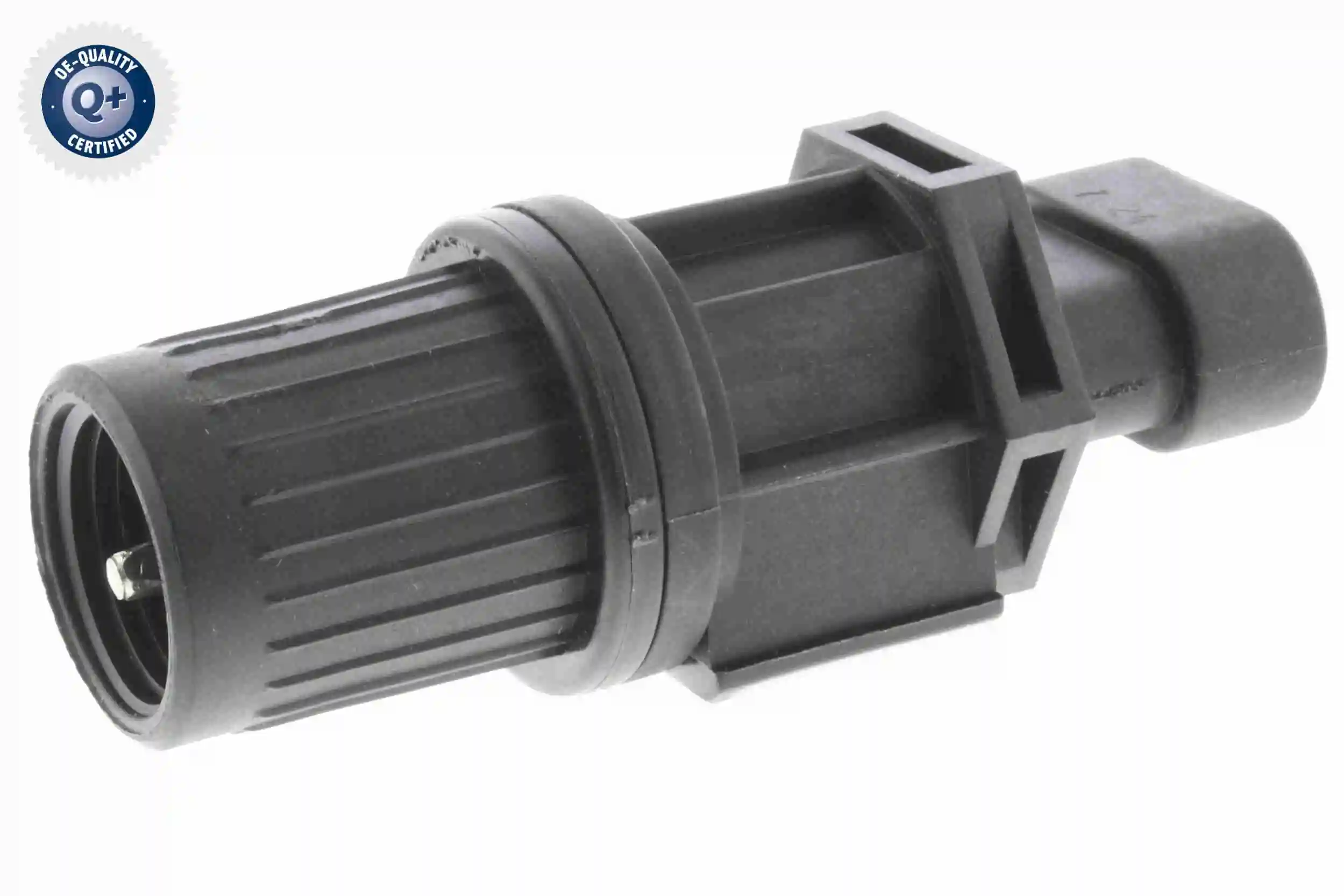 V51720036 Vemo