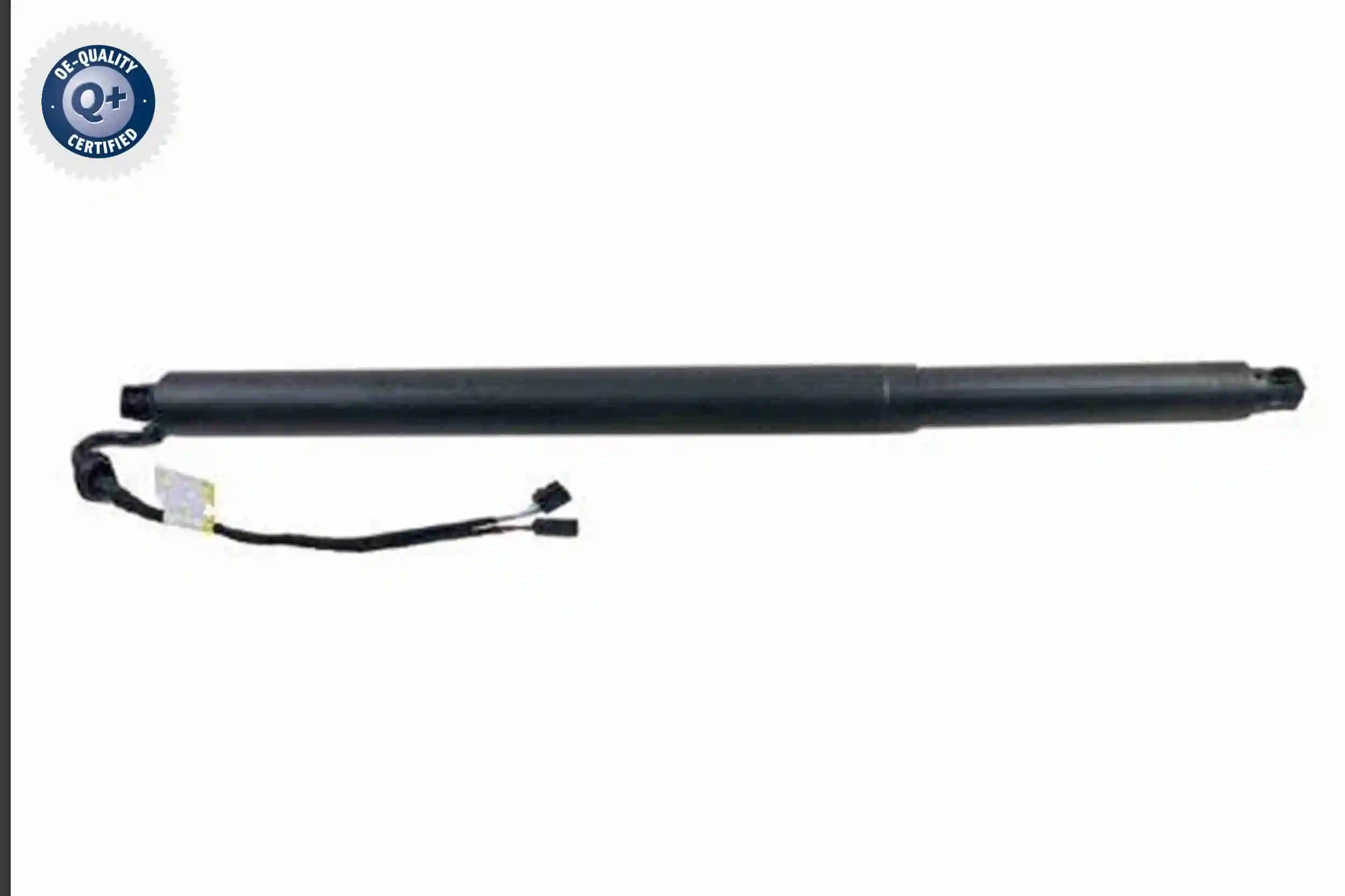 V10550013 Vemo