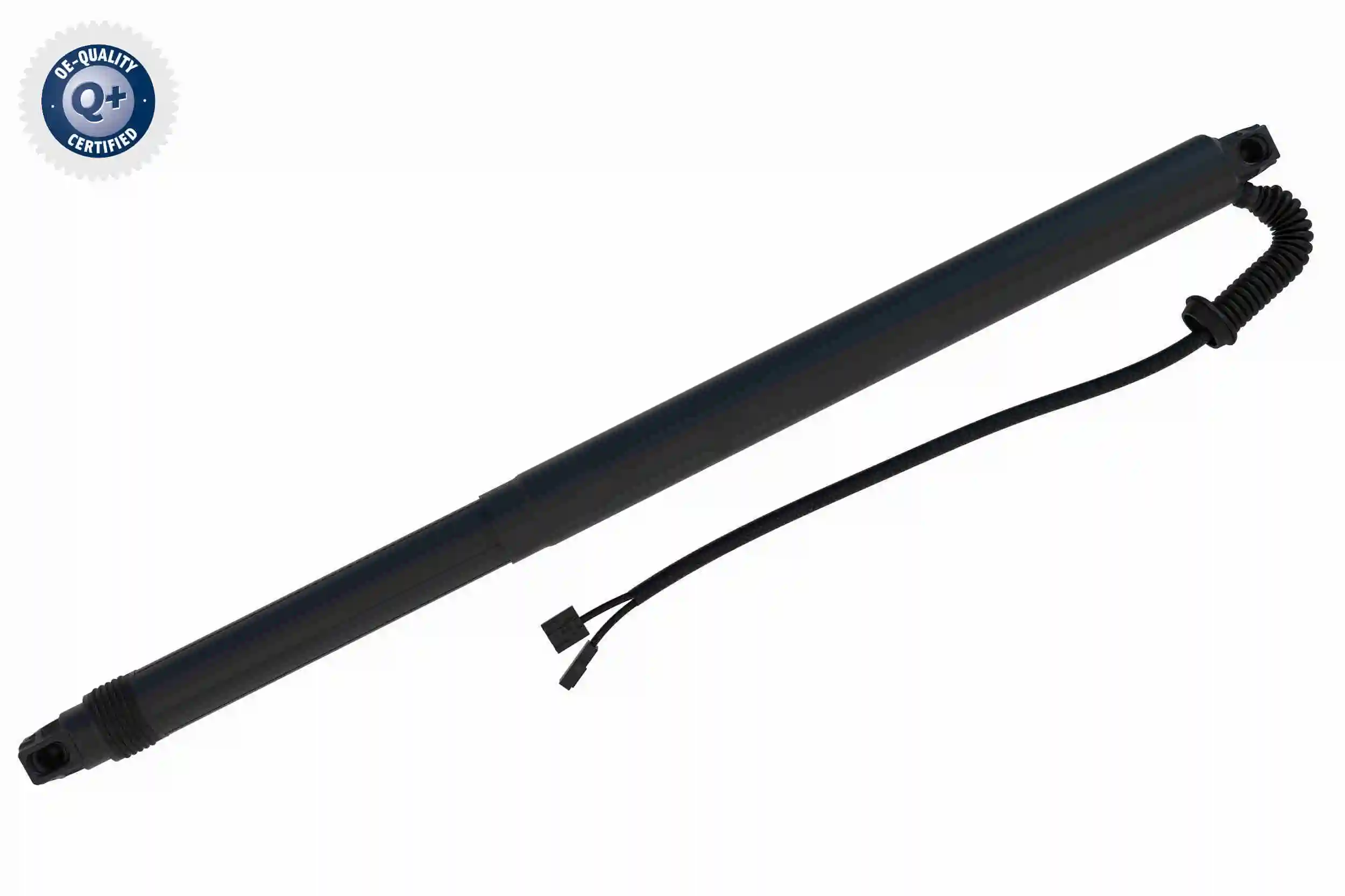 V10550014 Vemo