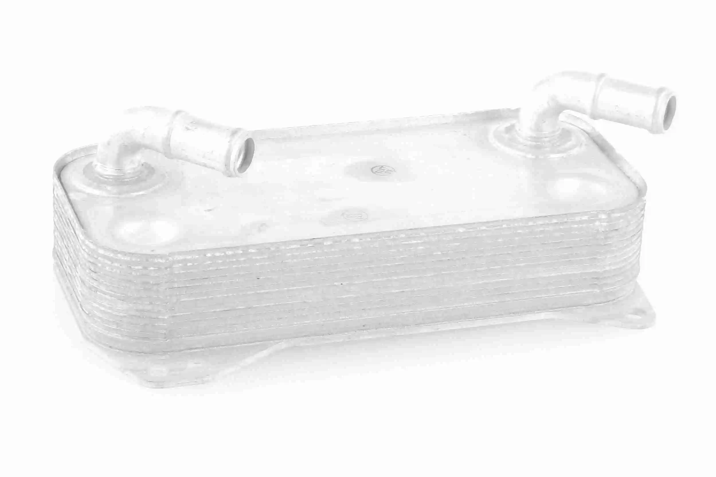 V10600041 Vemo