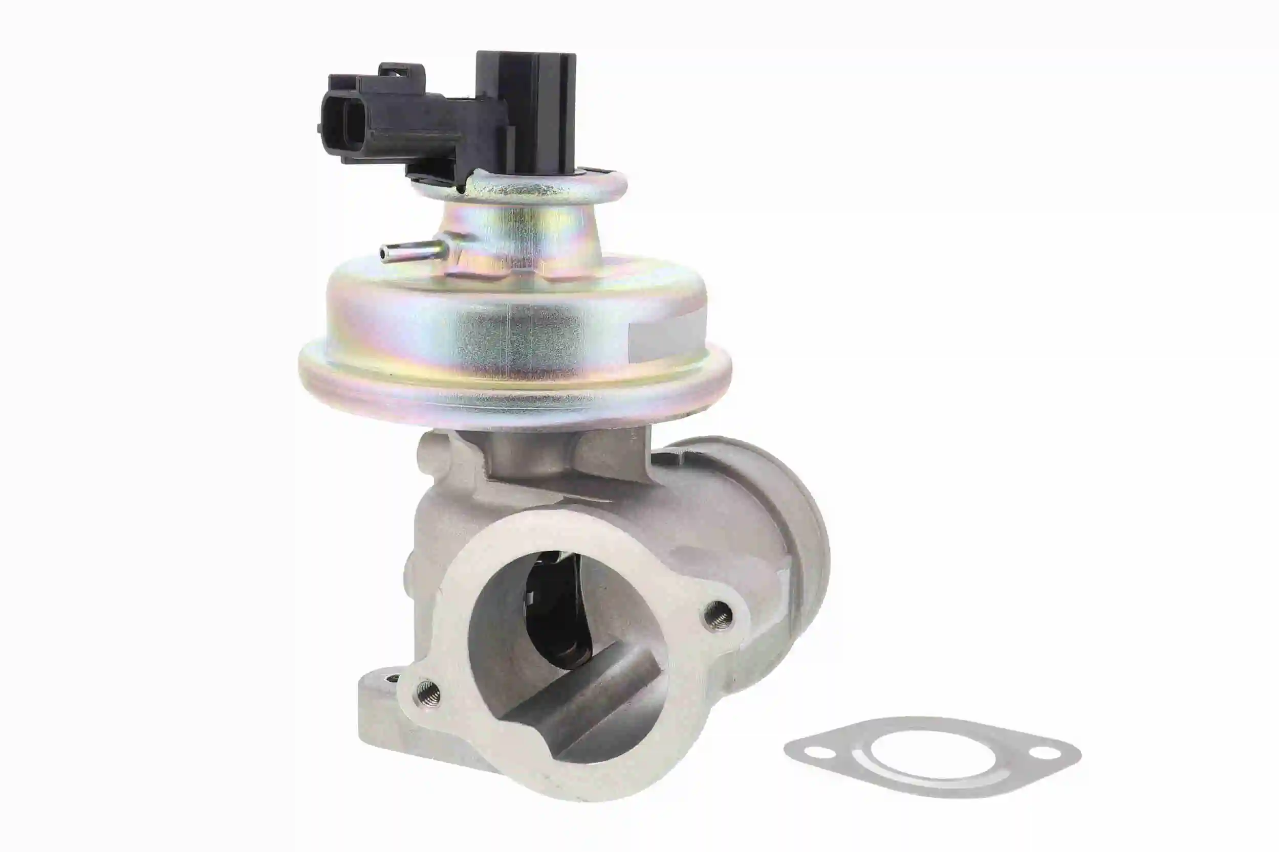 V25630055 Vemo