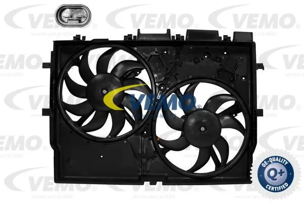 V24011287 Vemo